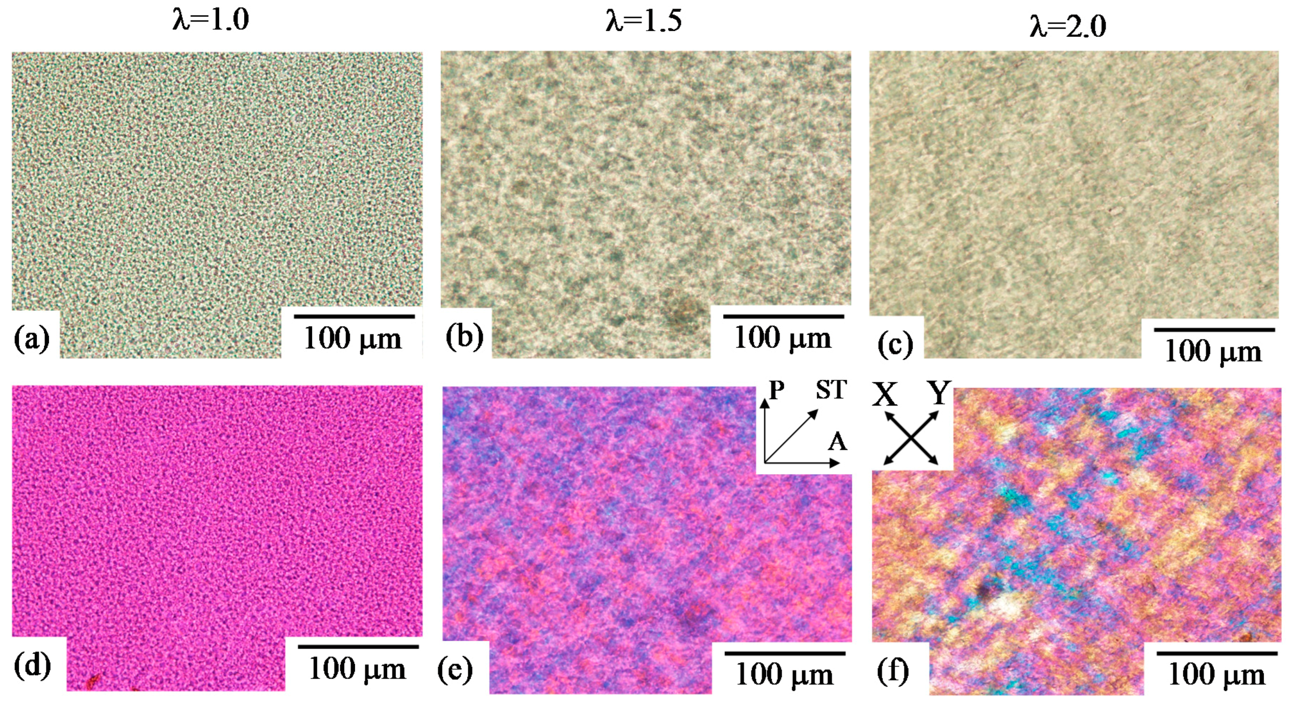 Polymers 10 00950 g005 Polymers 10 00950 g005