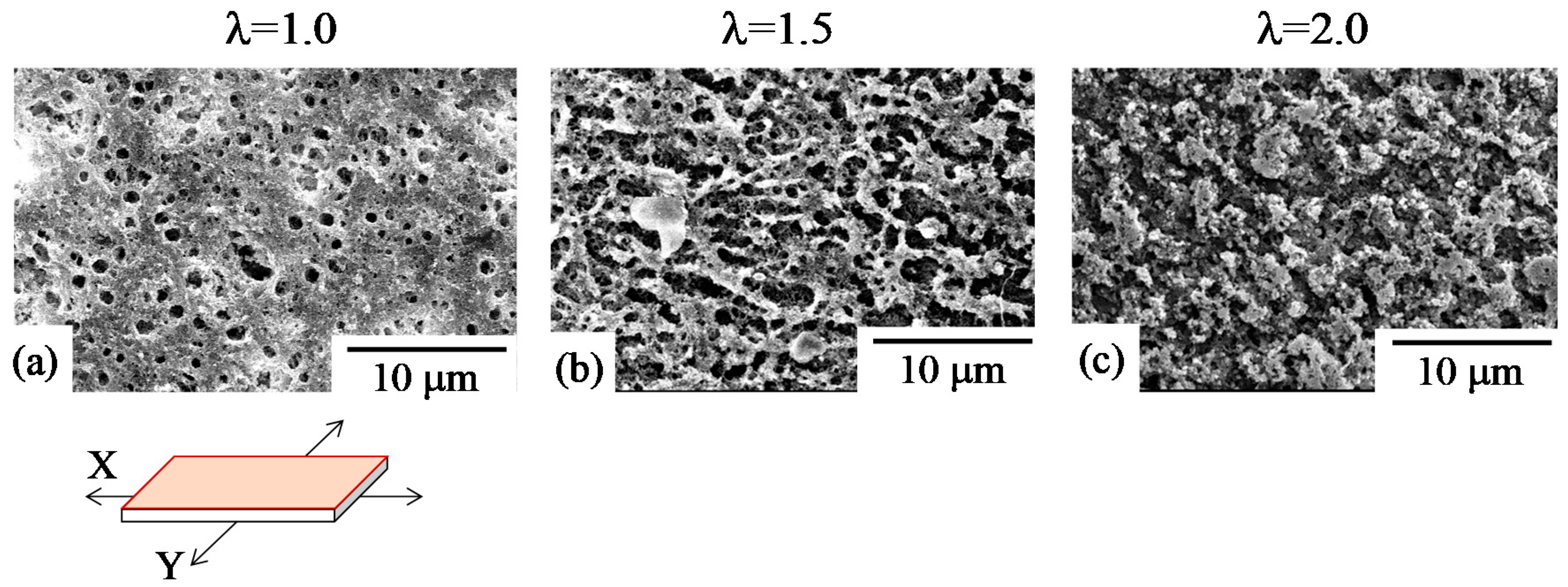 Polymers 10 00950 g007 Polymers 10 00950 g007