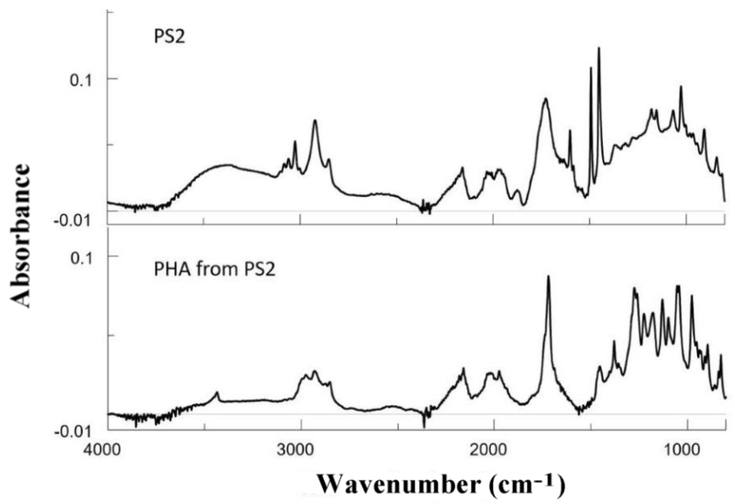 Polymers 10 00957 g007