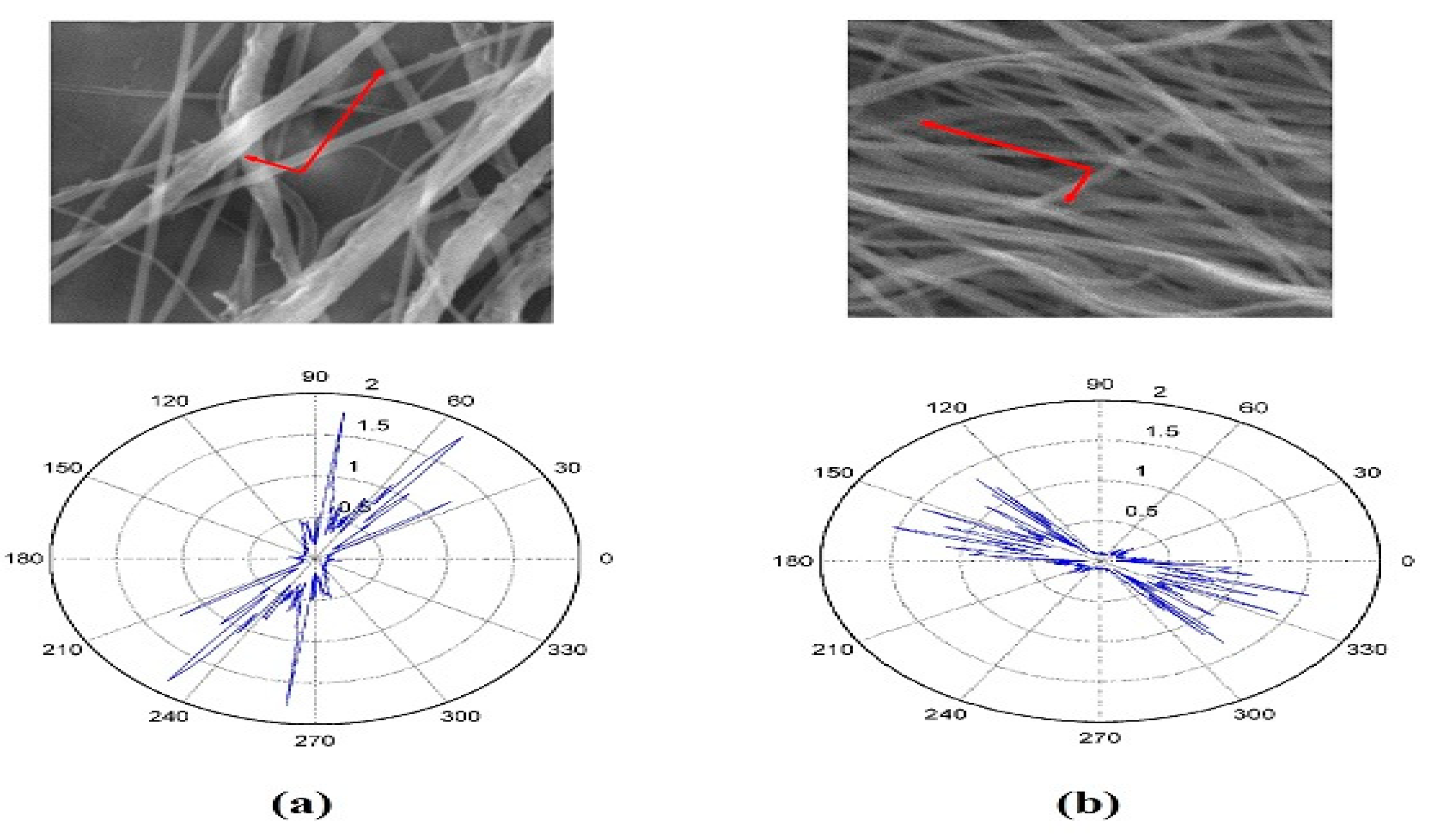 Polymers 10 00965 g006 Polymers 10 00965 g006
