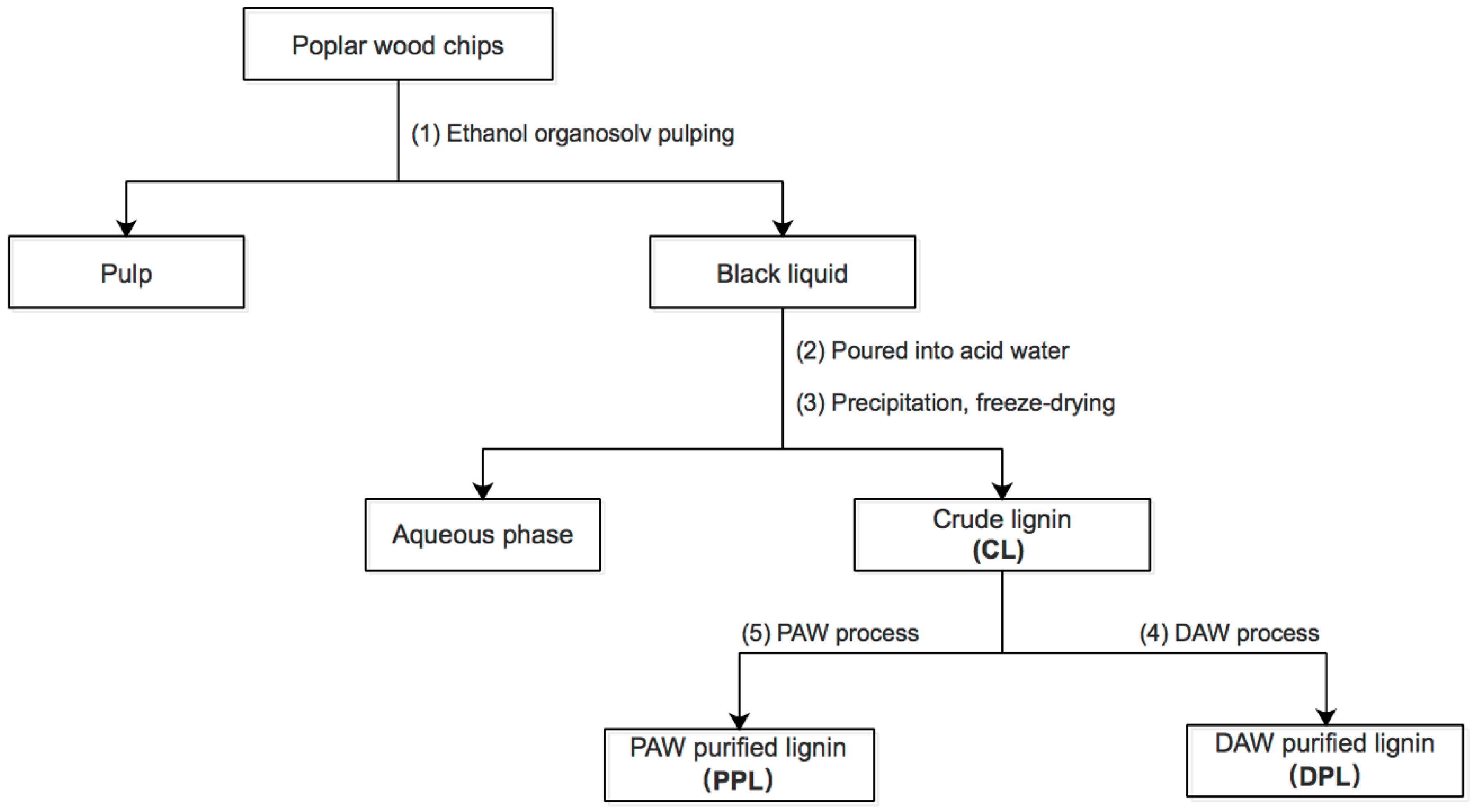 Polymers 10 00967 g001