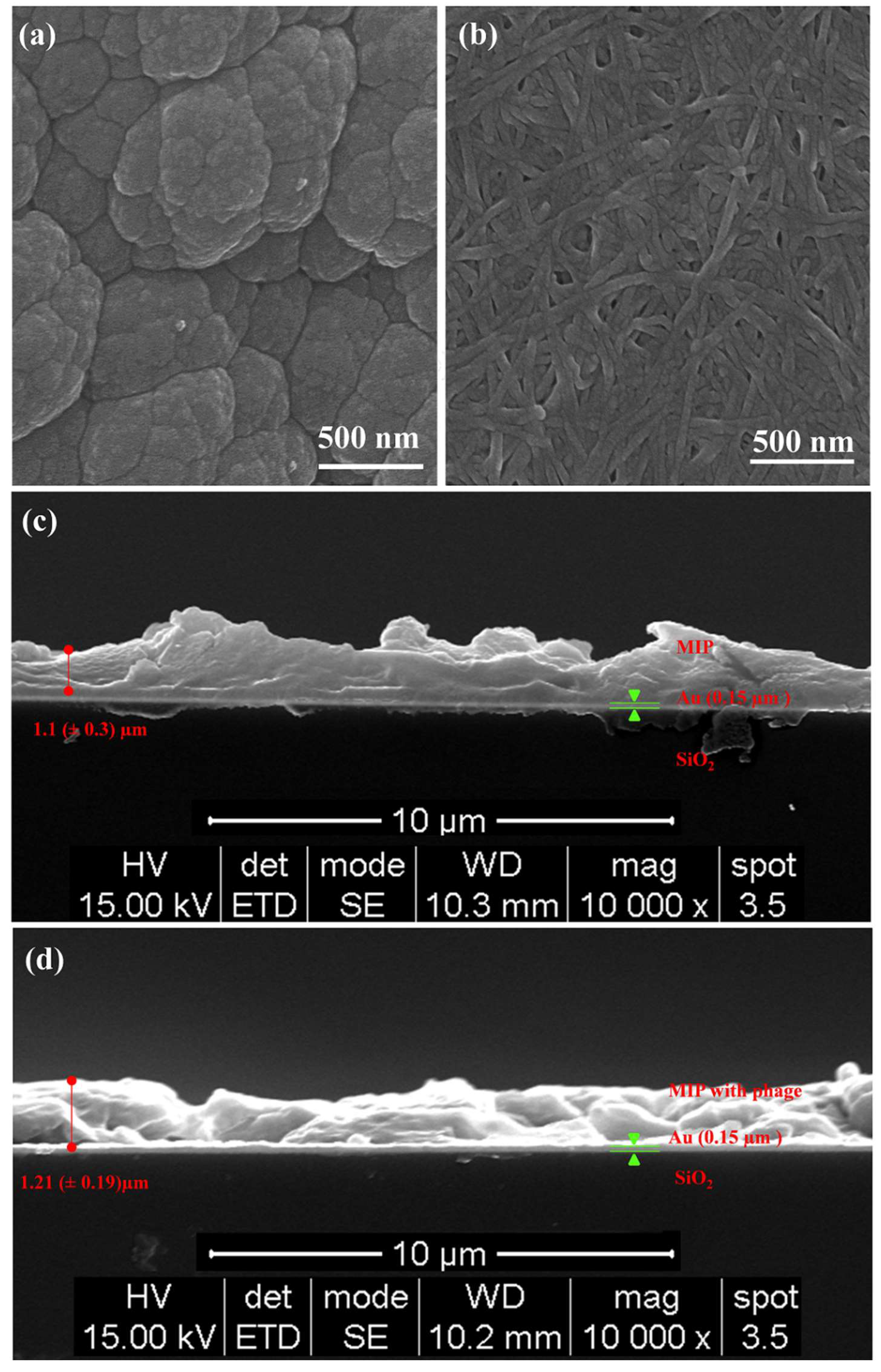 Polymers 10 00974 g004