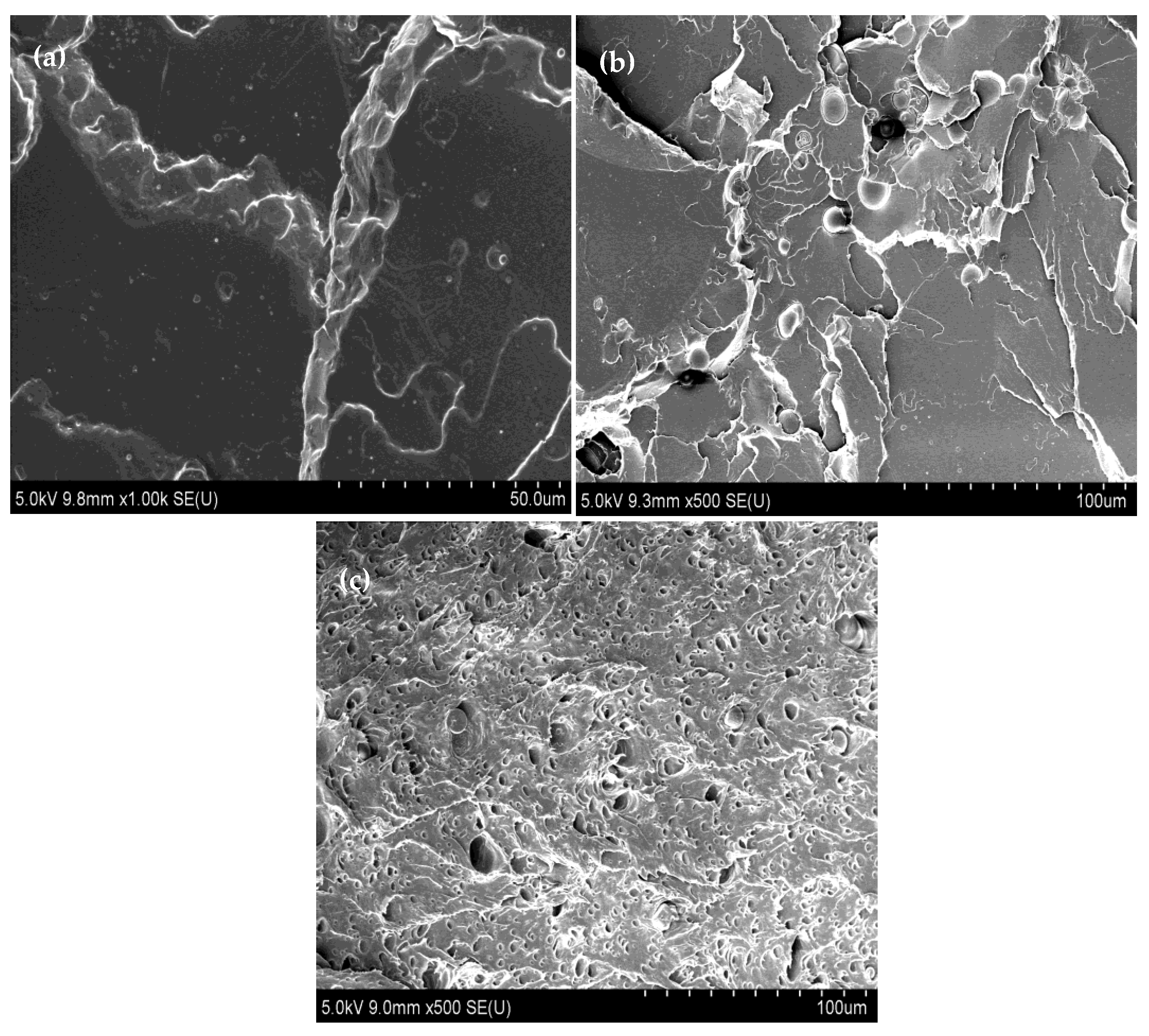 Polymers 10 00977 g010 550