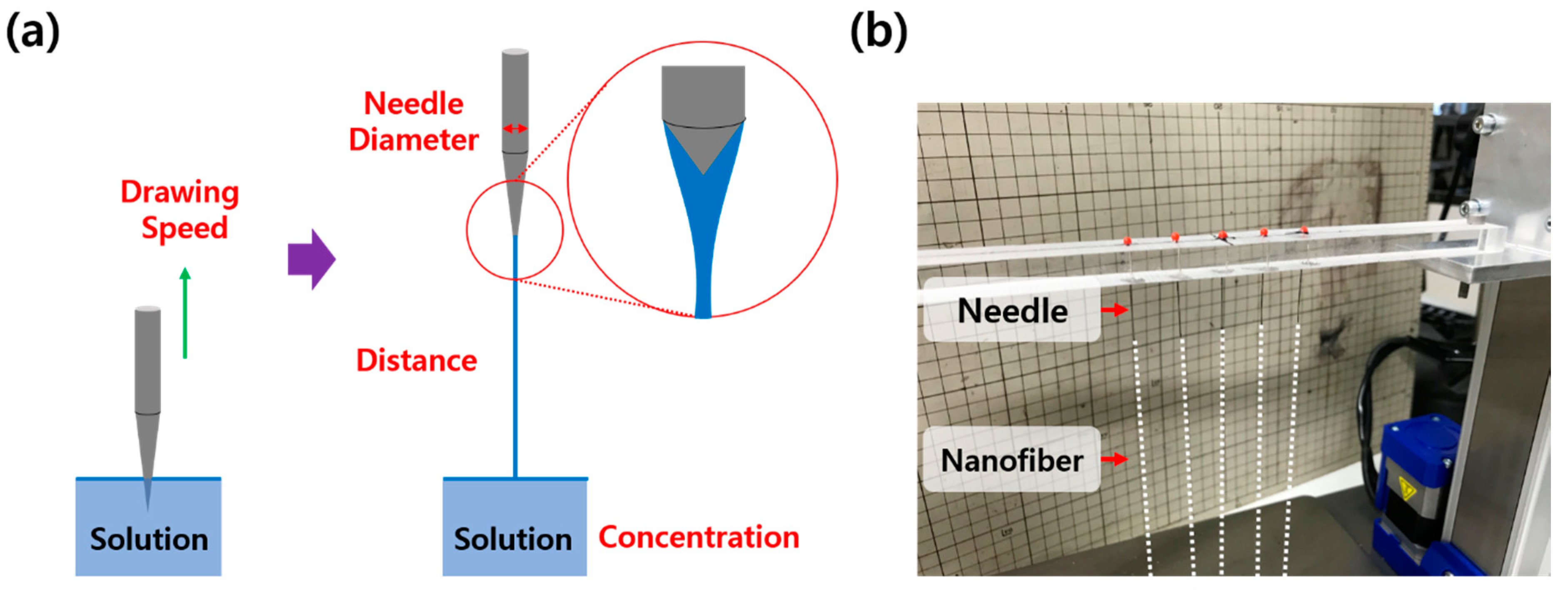 Polymers 10 00980 g001