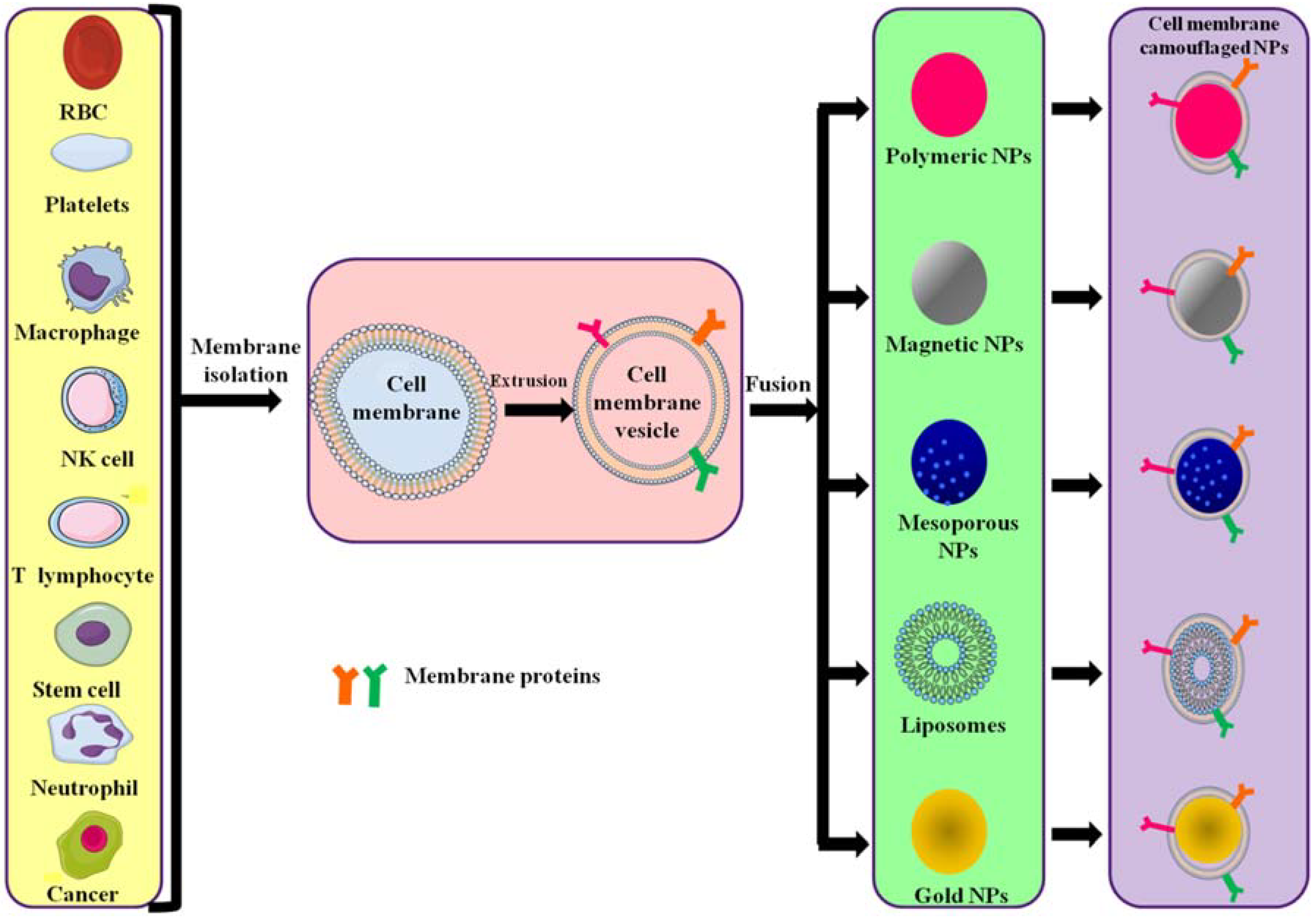 Polymers 10 00983 g002 Polymers 10 00983 g002