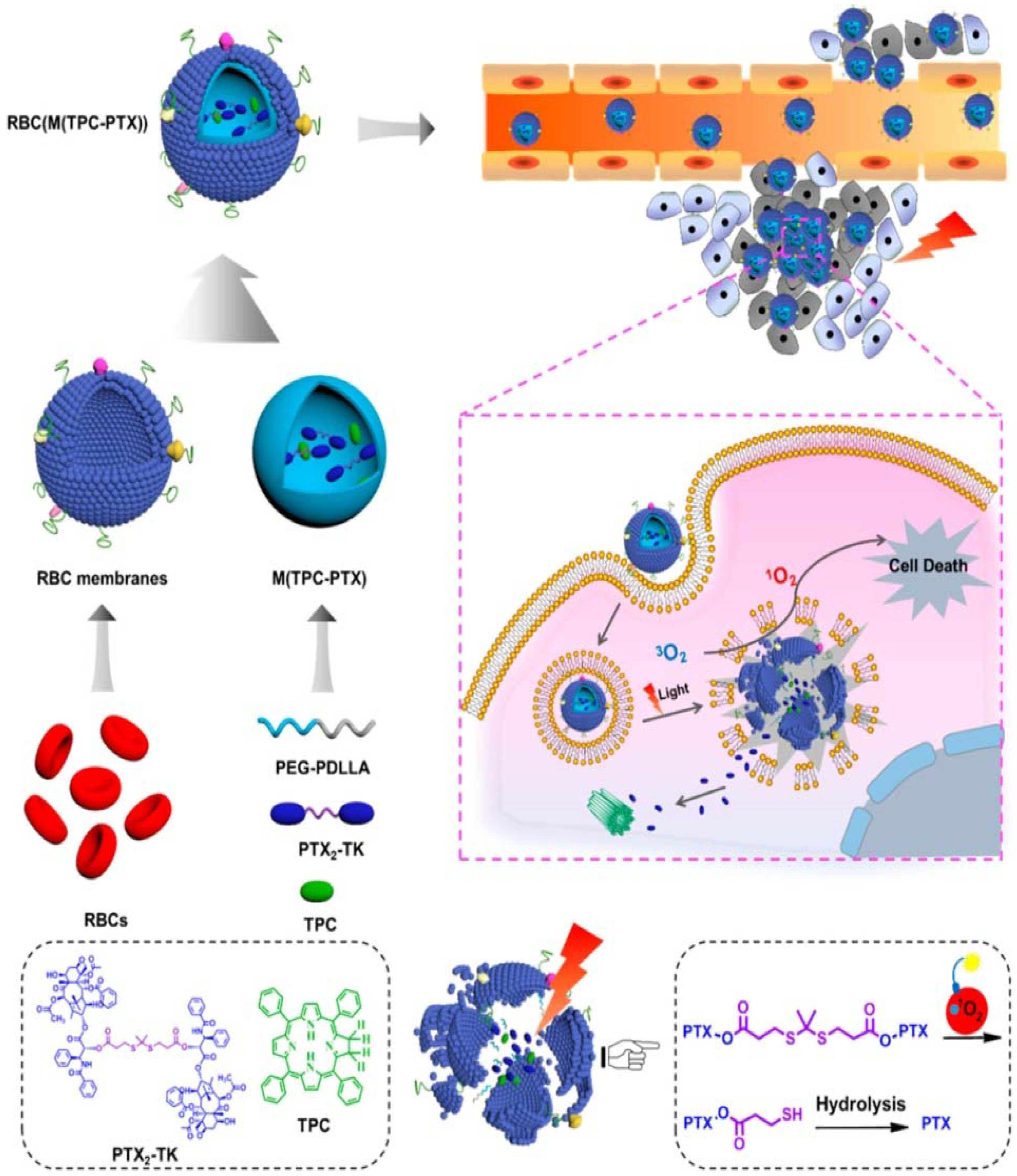 Polymers 10 00983 g004 Polymers 10 00983 g004