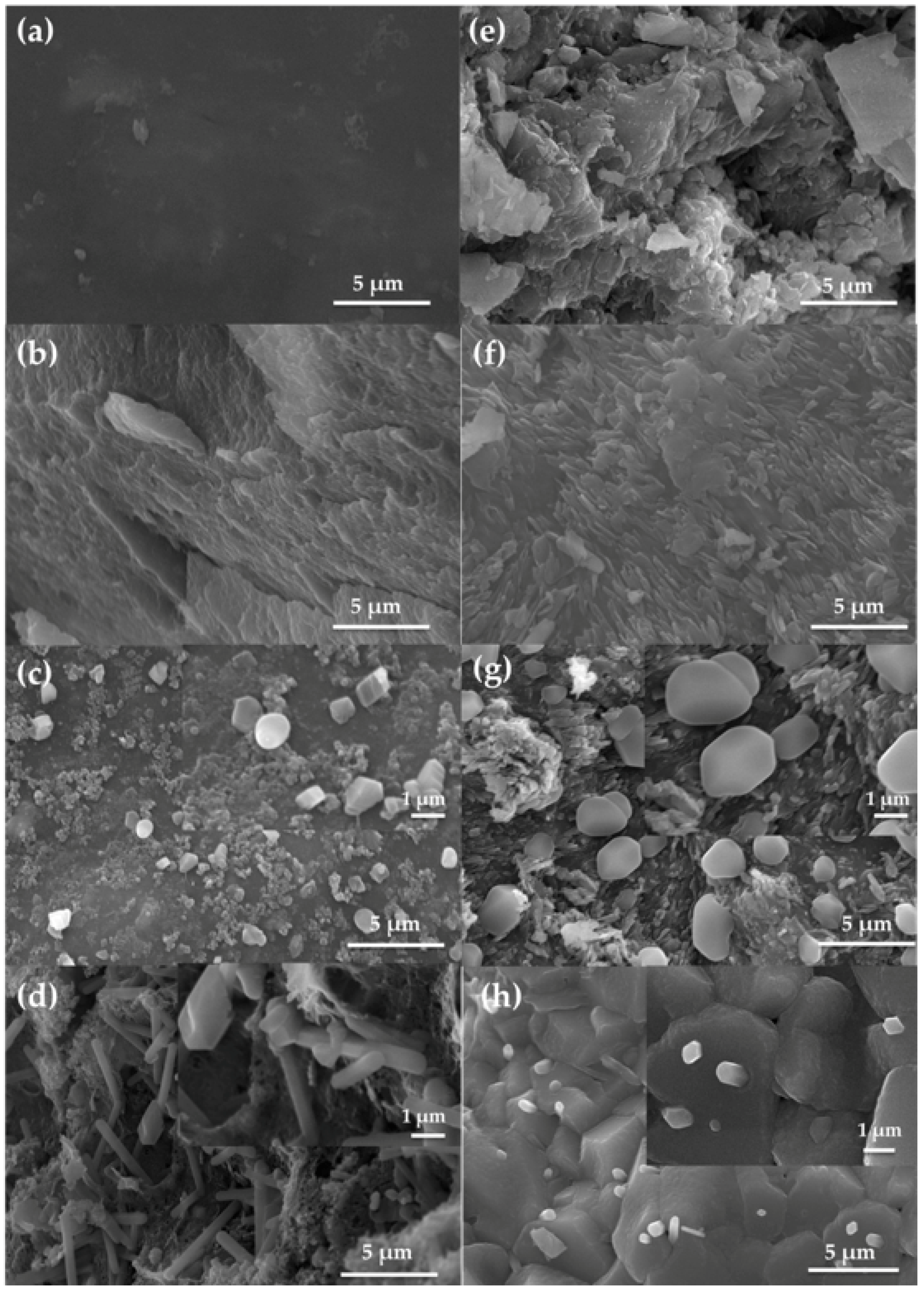 Polymers 10 00990 g003 550