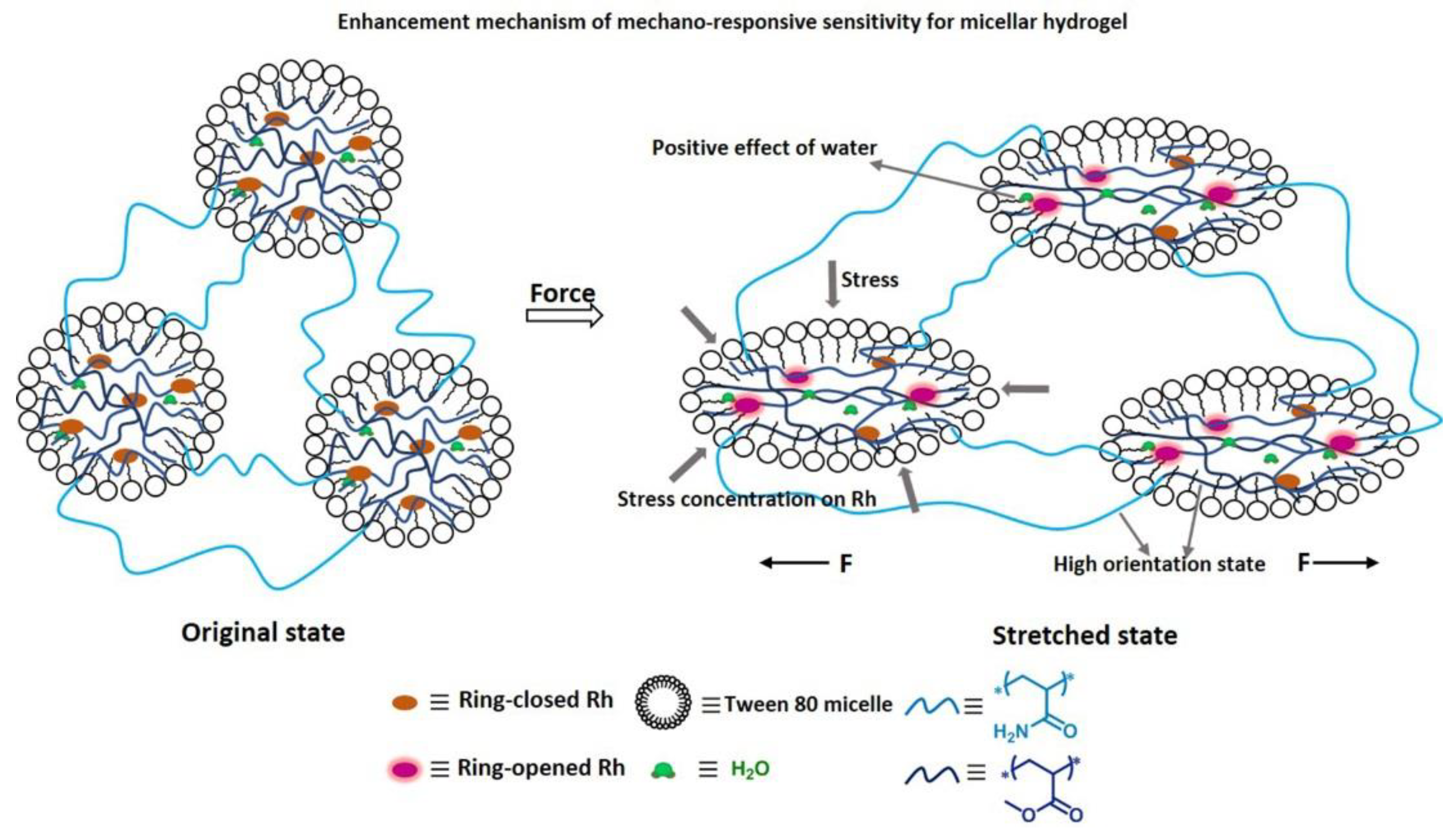 Polymers 10 00994 g006 Polymers 10 00994 g006