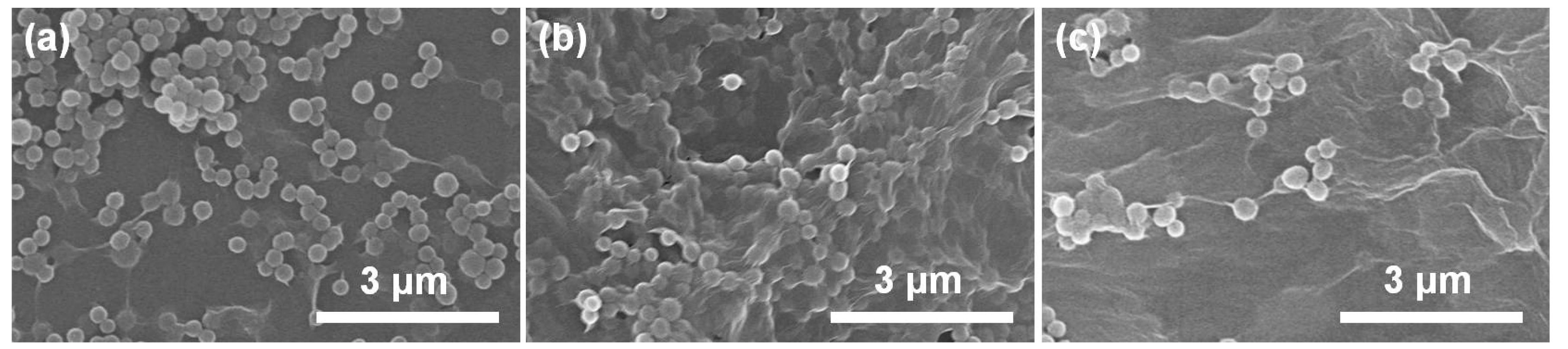 Polymers 10 00998 g002