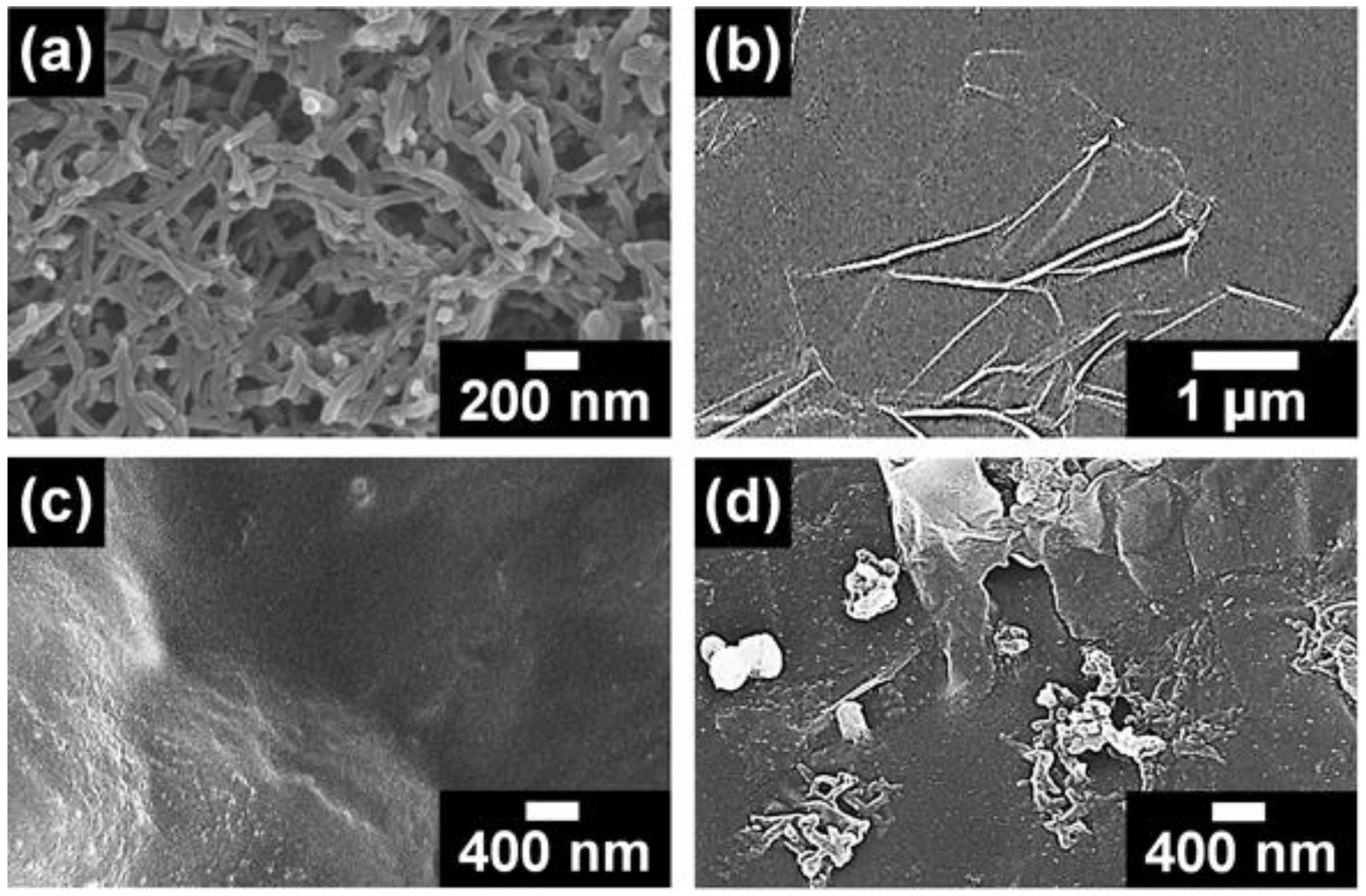 Polymers 10 01003 g003