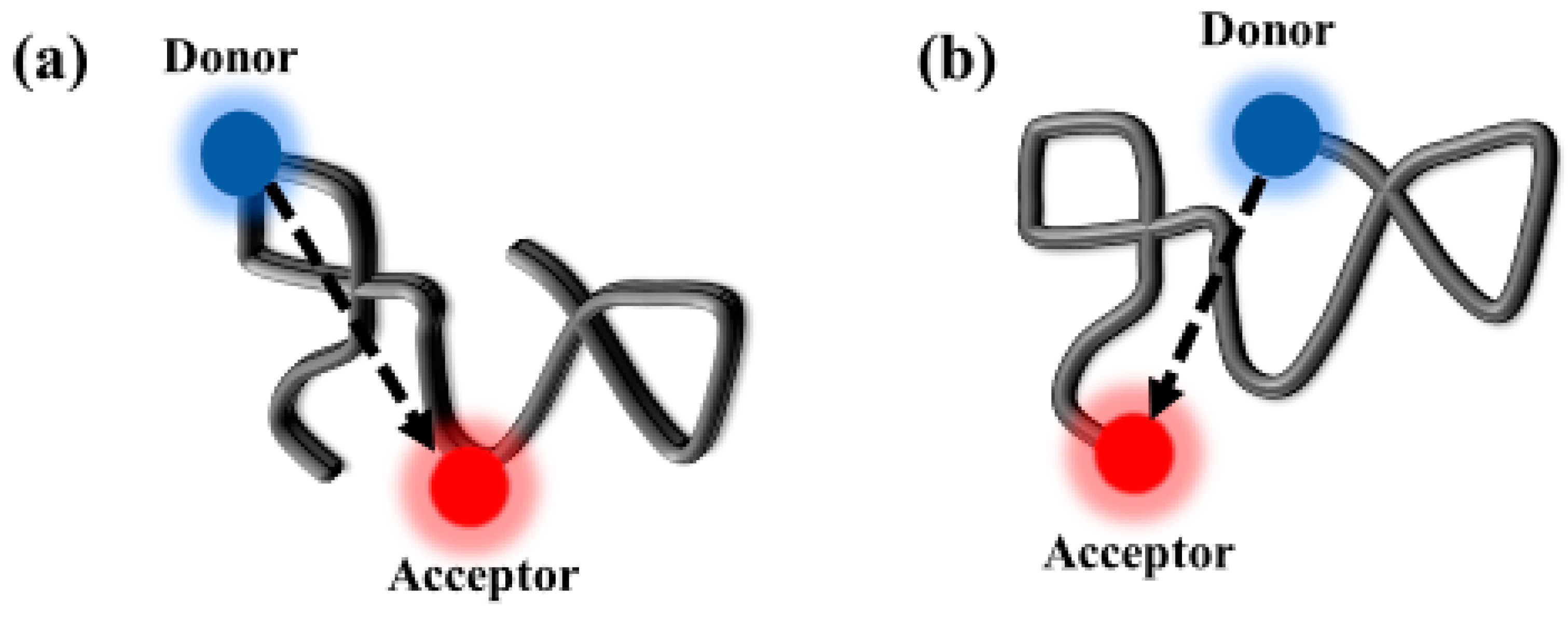 Polymers 10 01007 g001