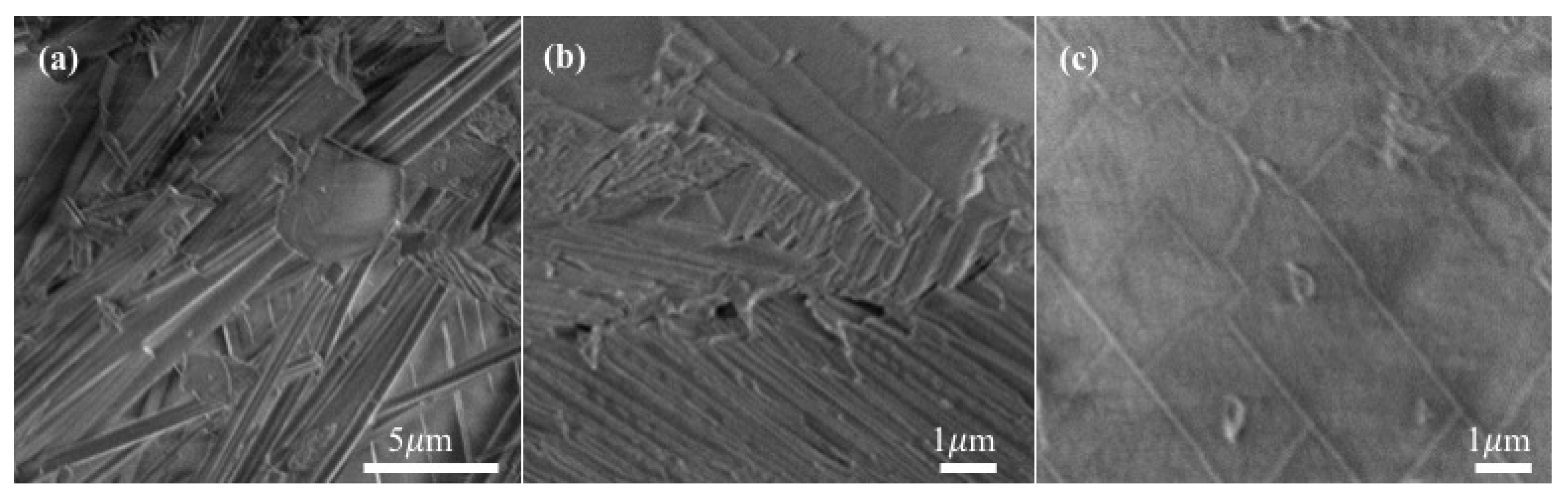 Polymers 10 01014 g002 Polymers 10 01014 g002