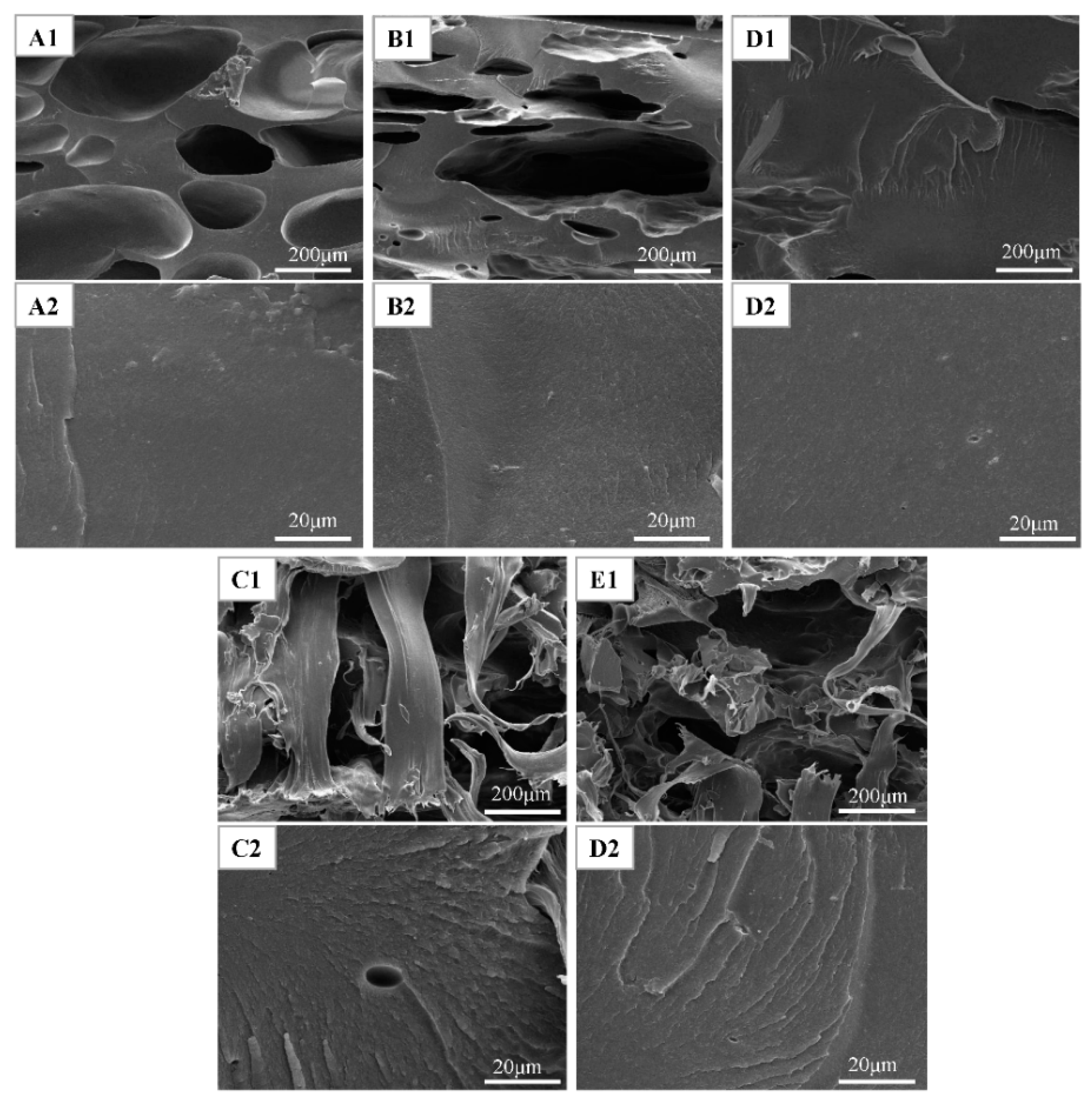 Polymers 10 01016 g007