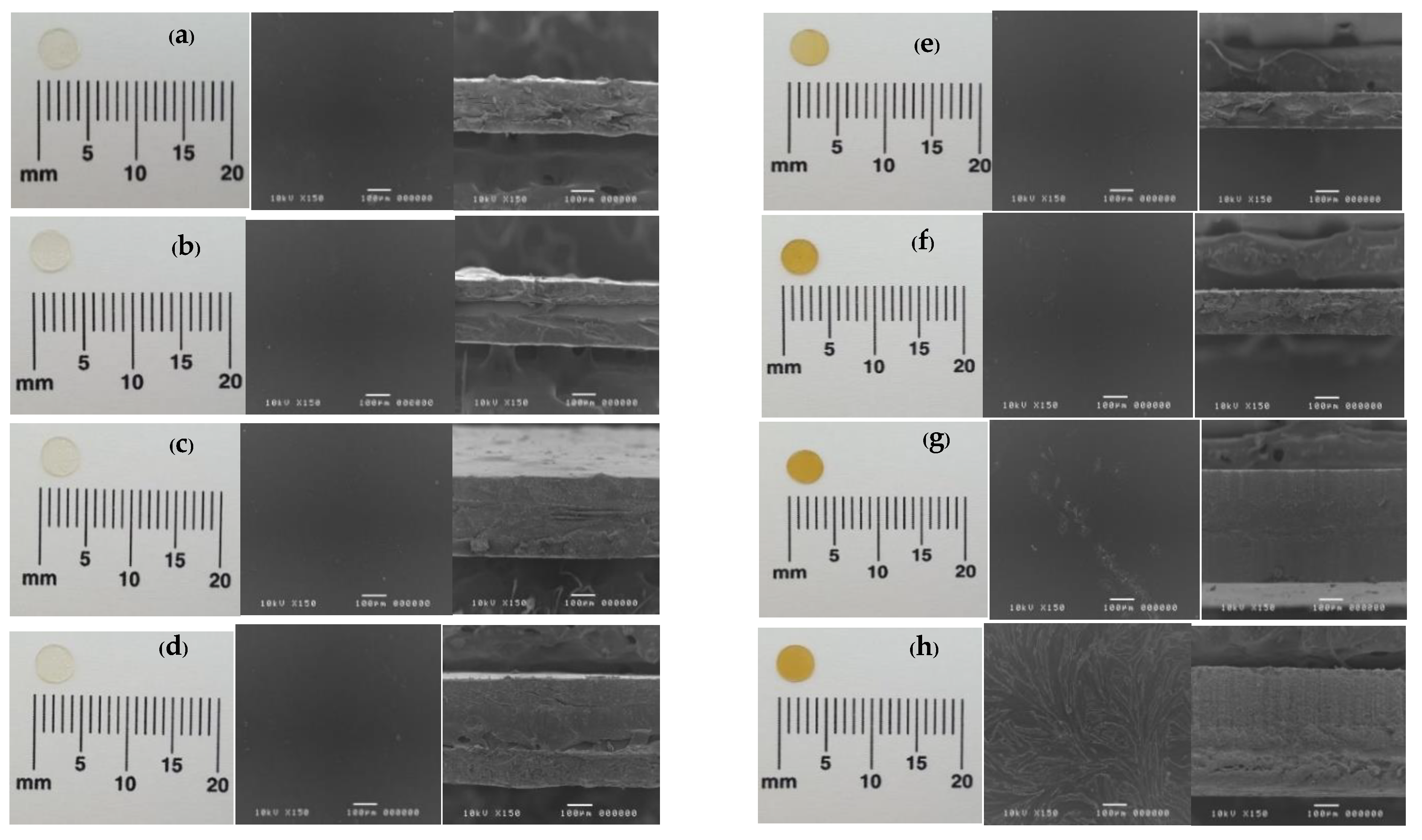 Polymers 10 01021 g001 550