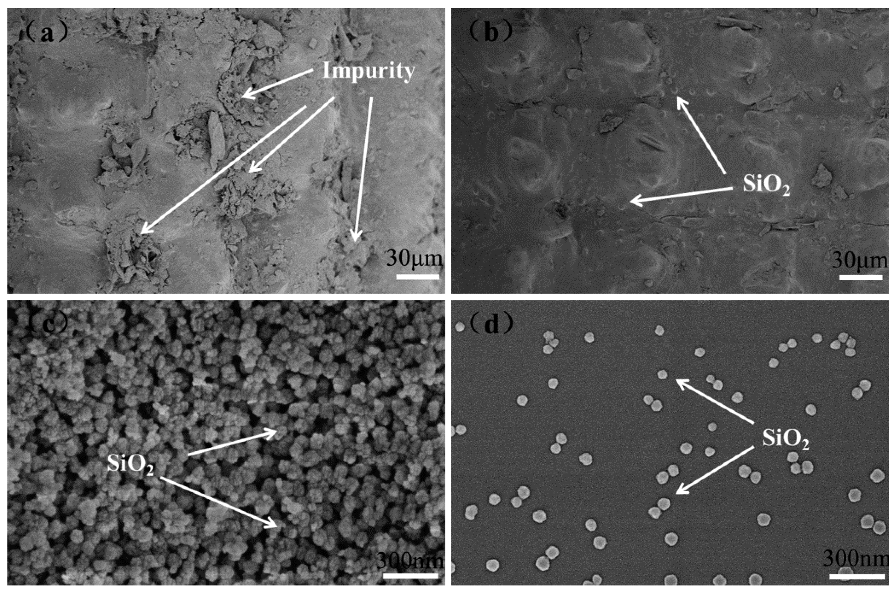 Polymers 10 01022 g002