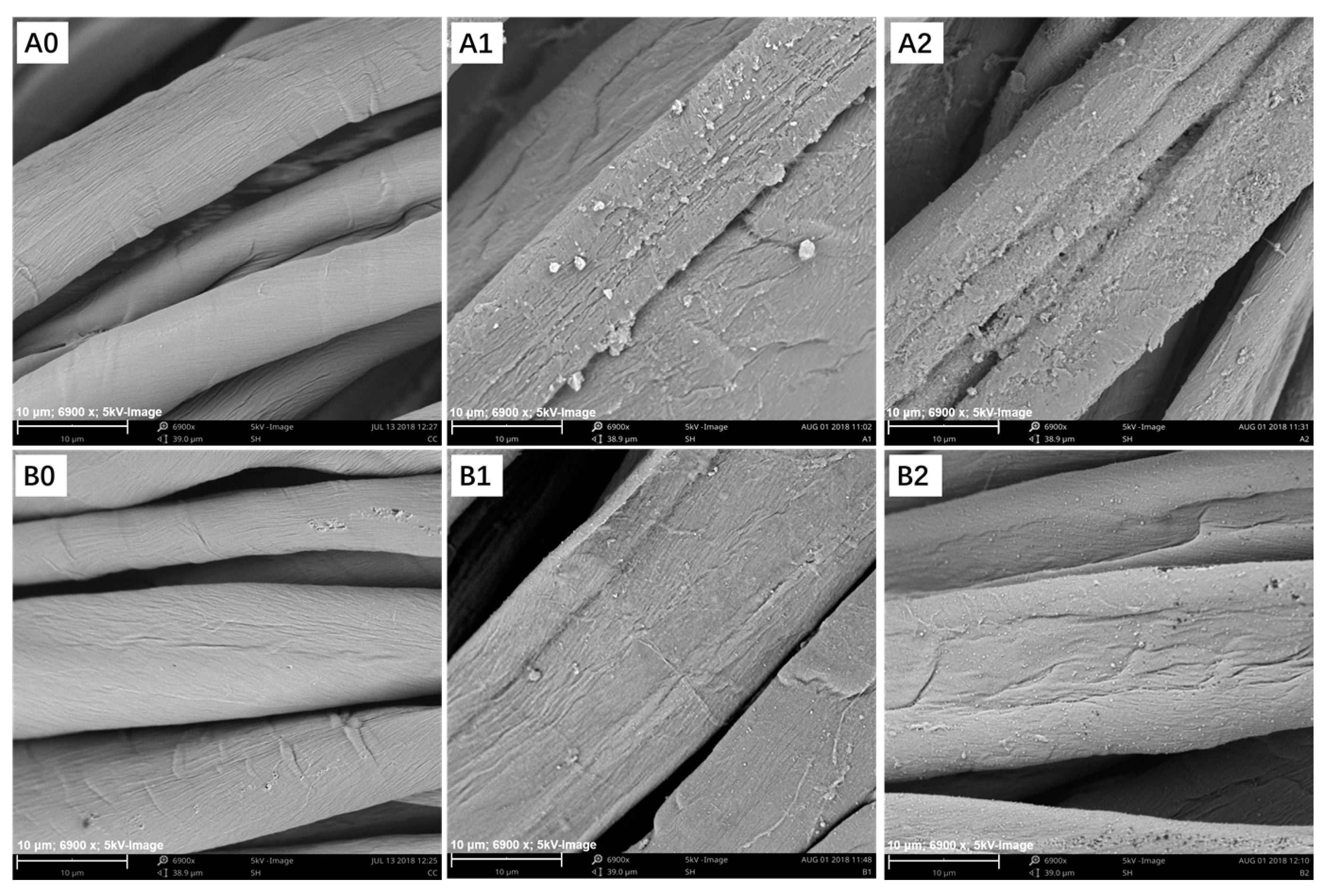 Polymers 10 01023 g005 Polymers 10 01023 g005