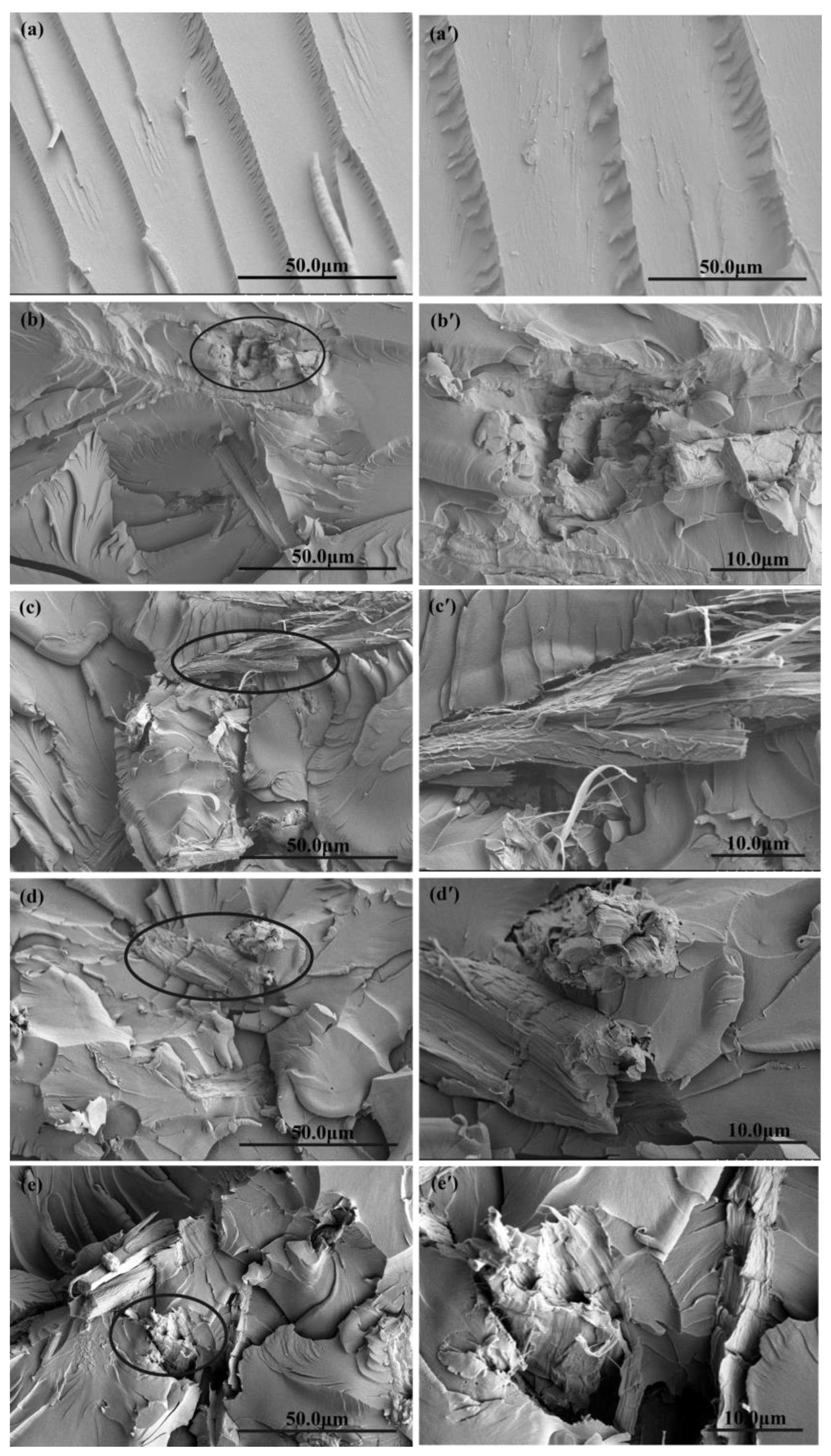 Polymers 10 01024 g009