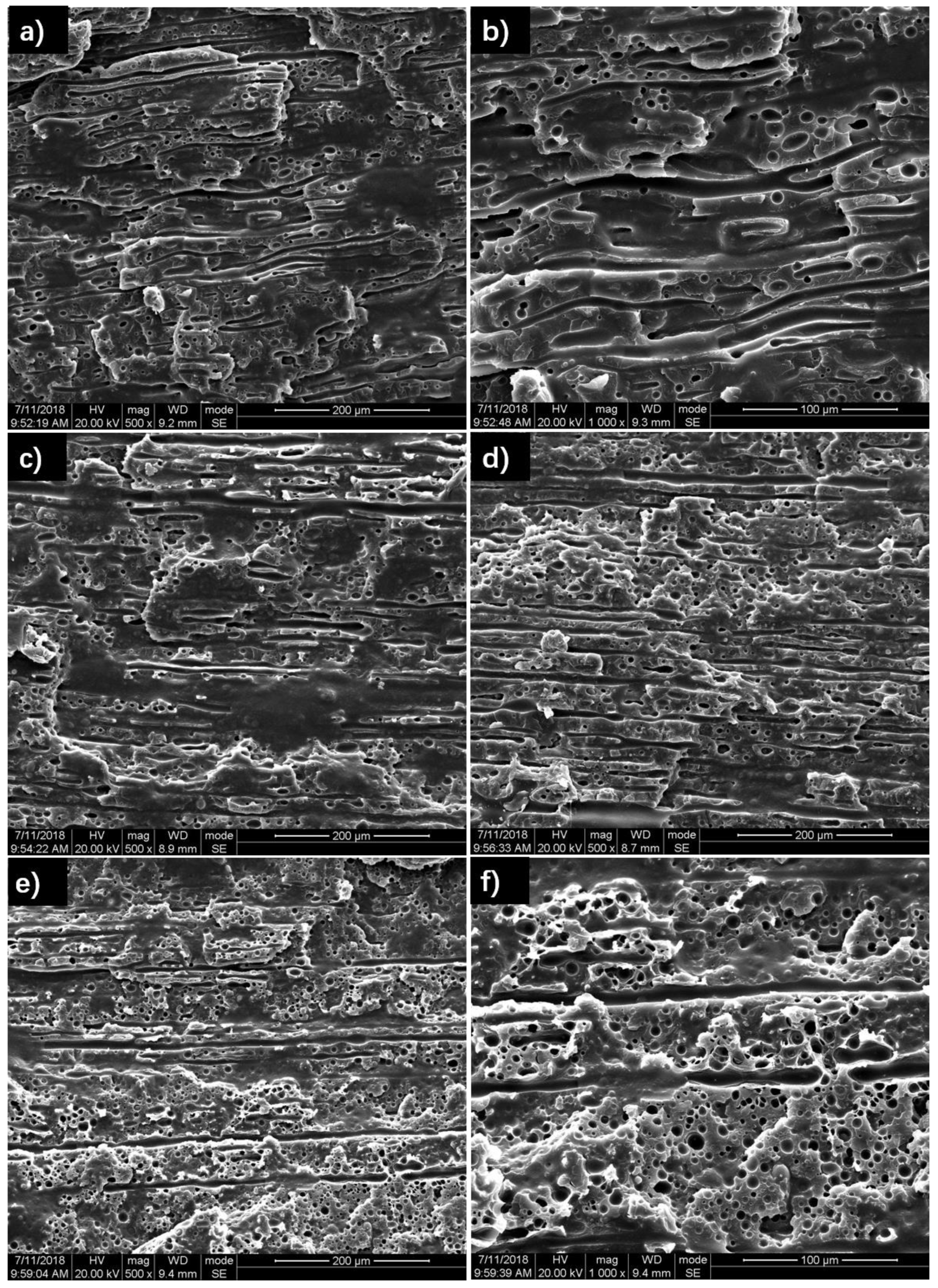 Polymers 10 01031 g006