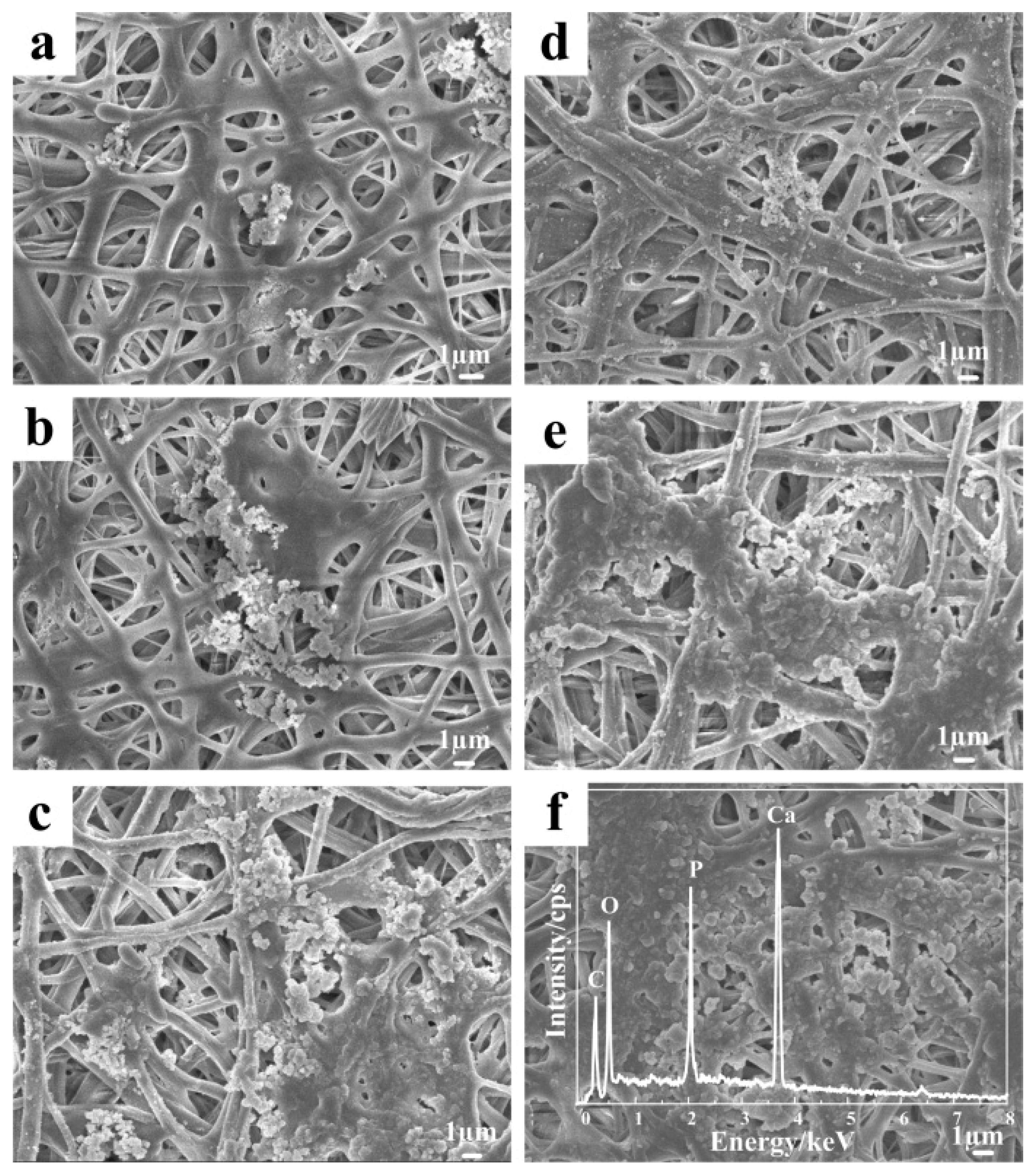 Polymers 10 01032 g007 Polymers 10 01032 g007