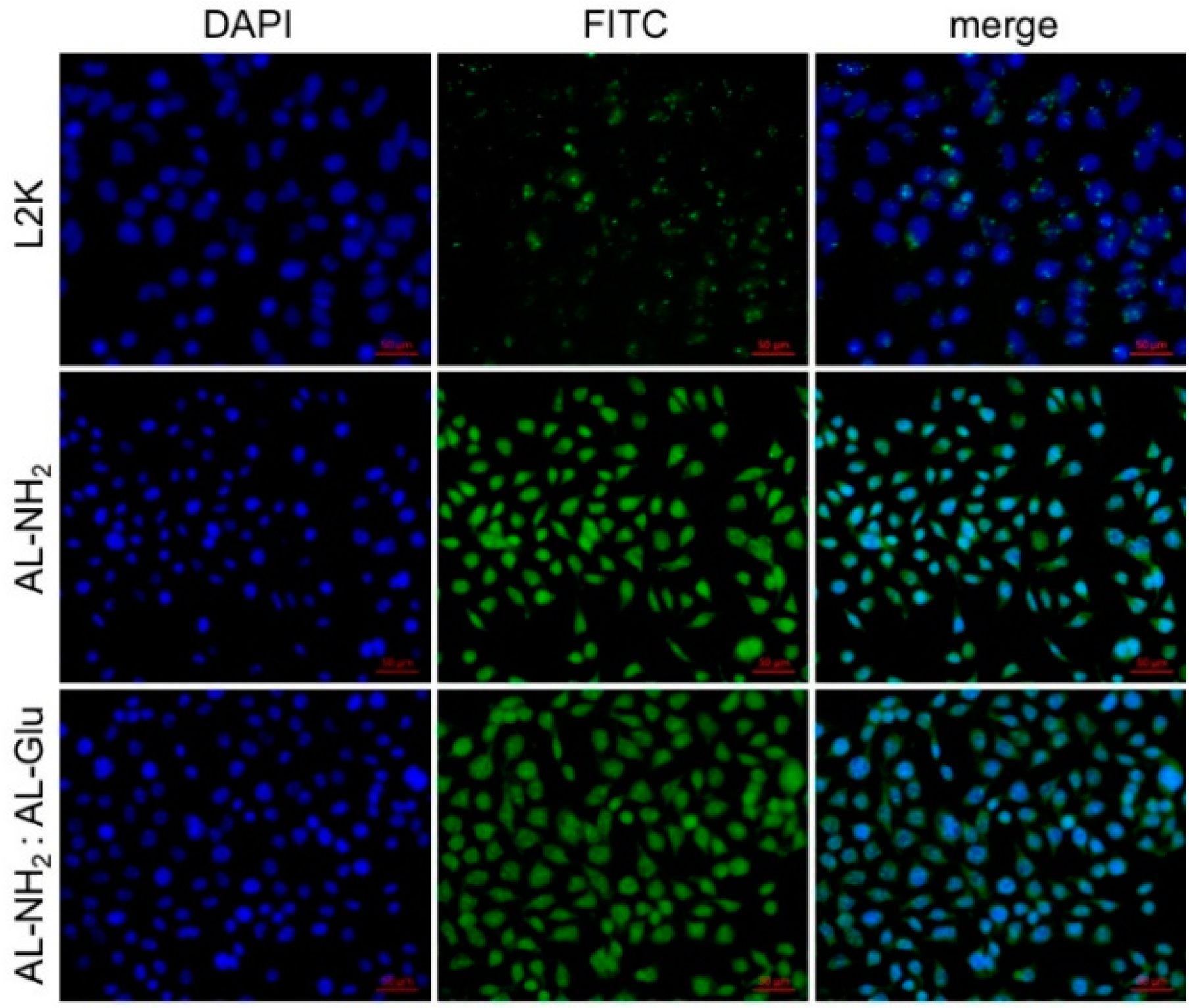 Polymers 10 01034 g005