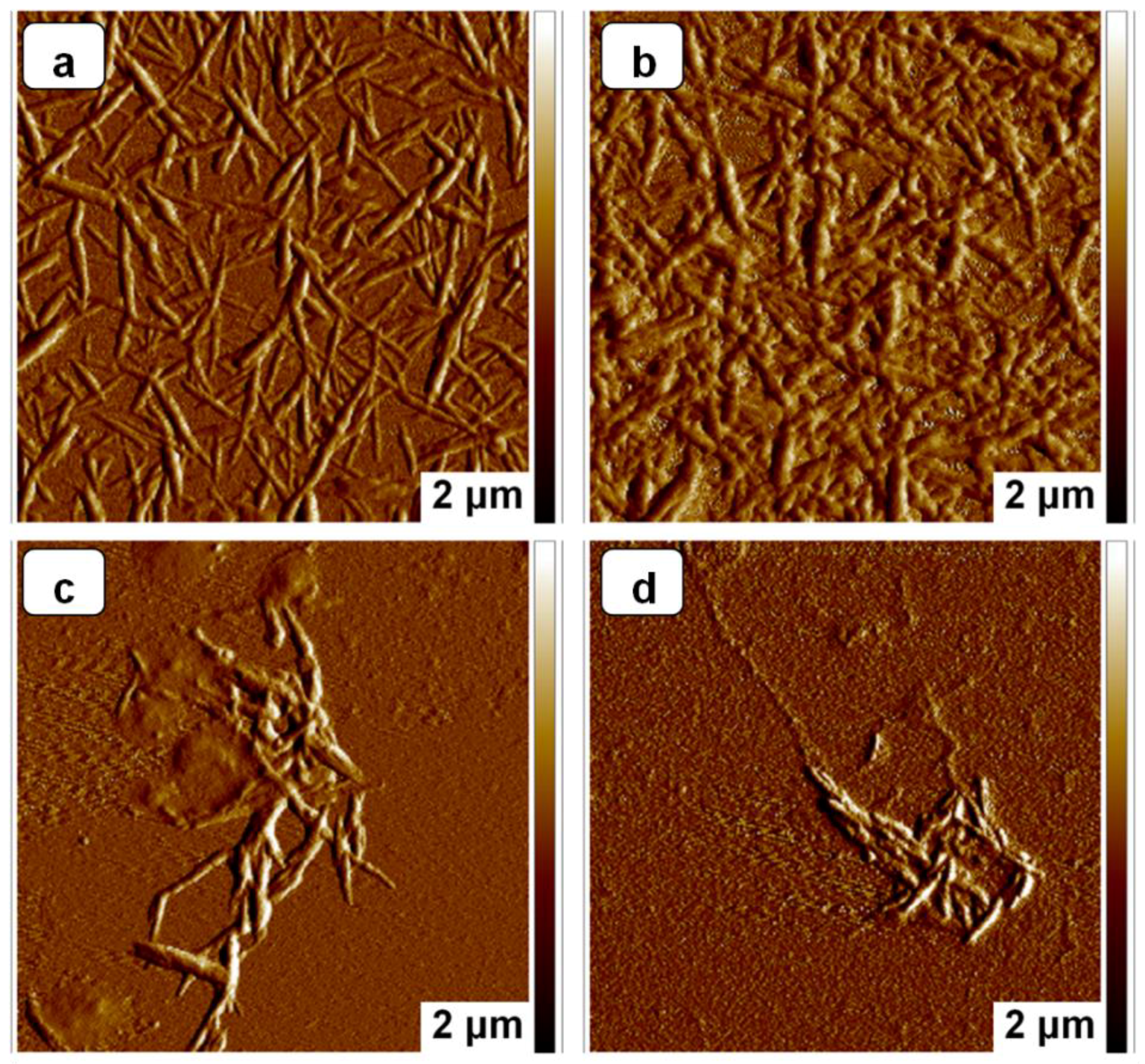 Polymers 10 01035 g005 Polymers 10 01035 g005