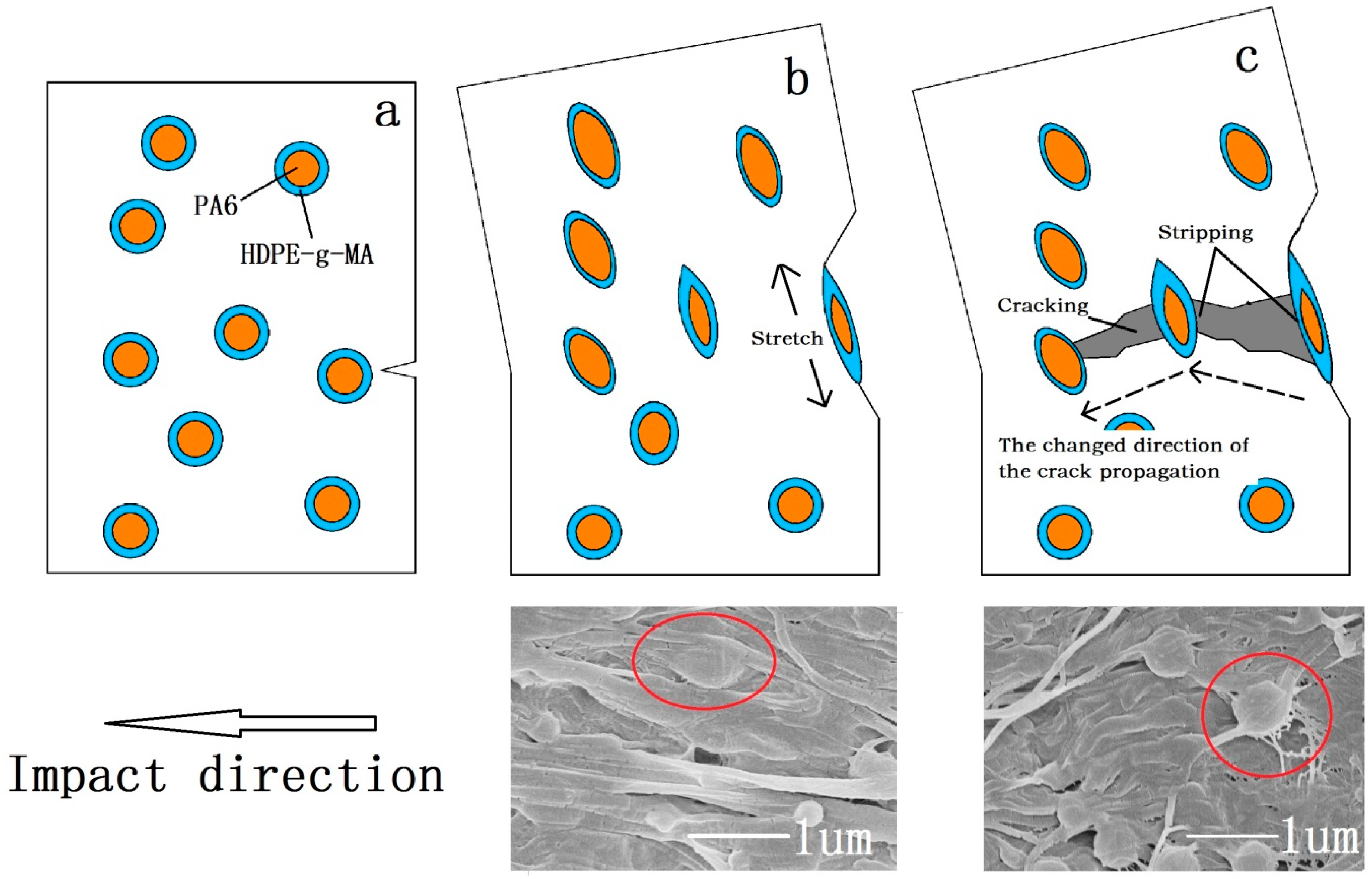 Polymers 10 01040 g009 550