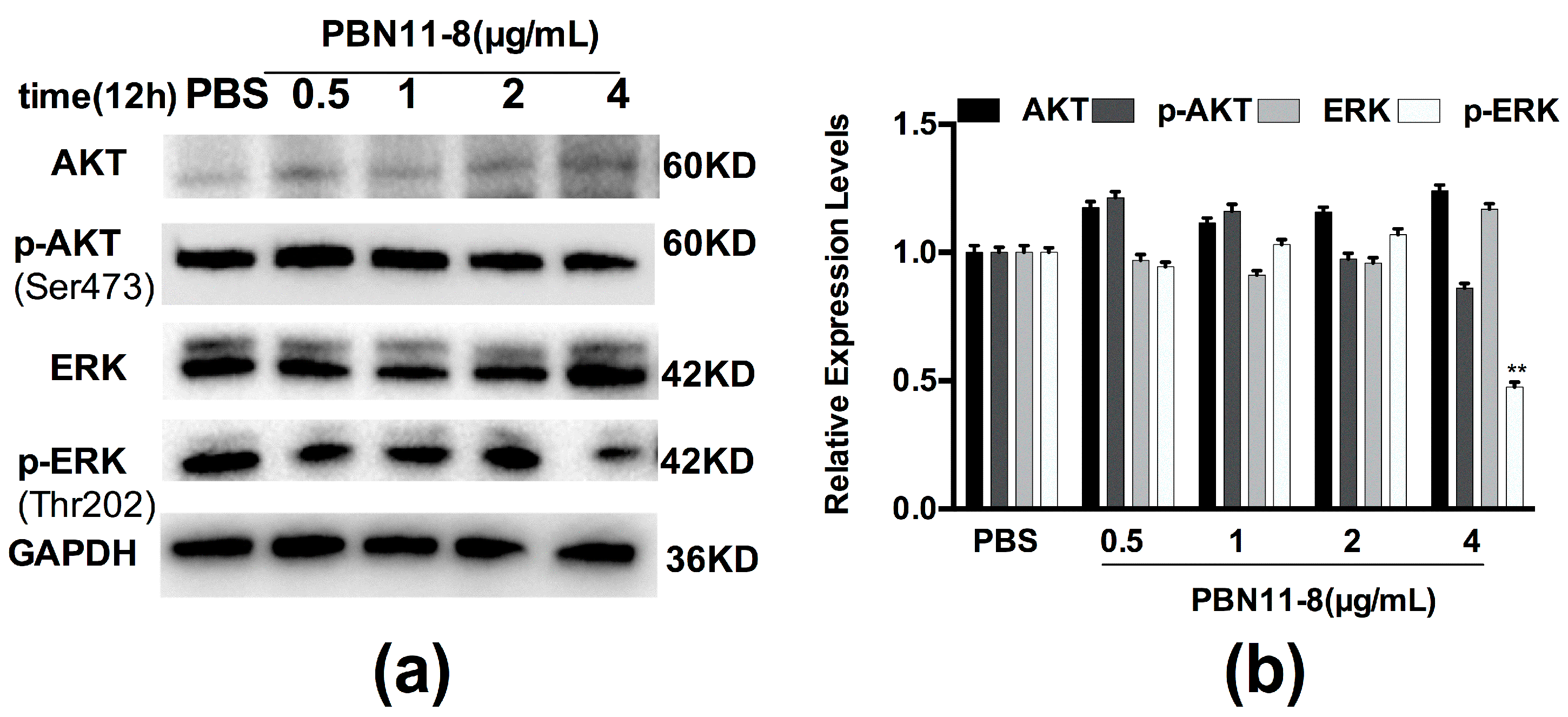 Polymers 10 01043 g006 Polymers 10 01043 g006