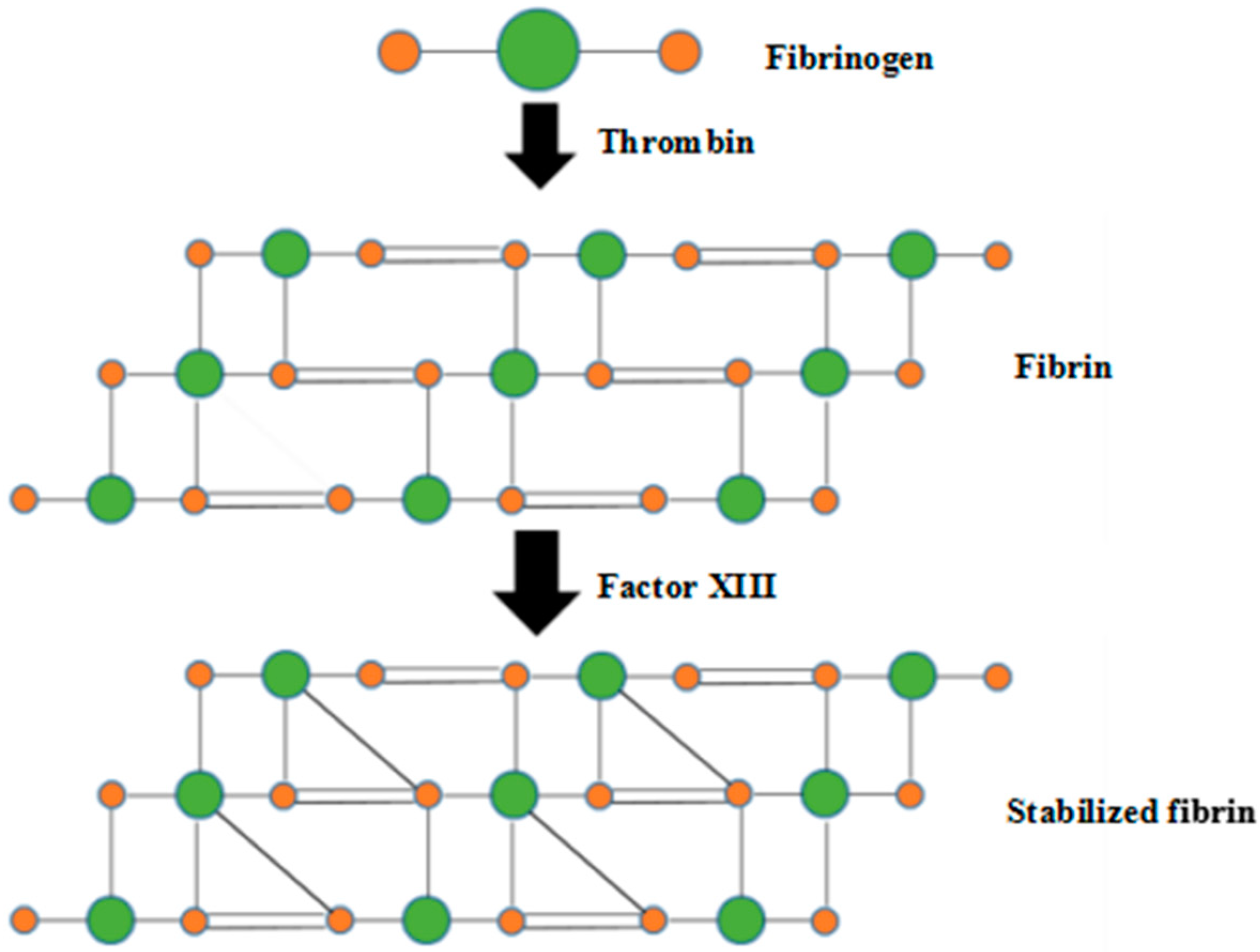 Polymers 10 01048 g001 Polymers 10 01048 g001