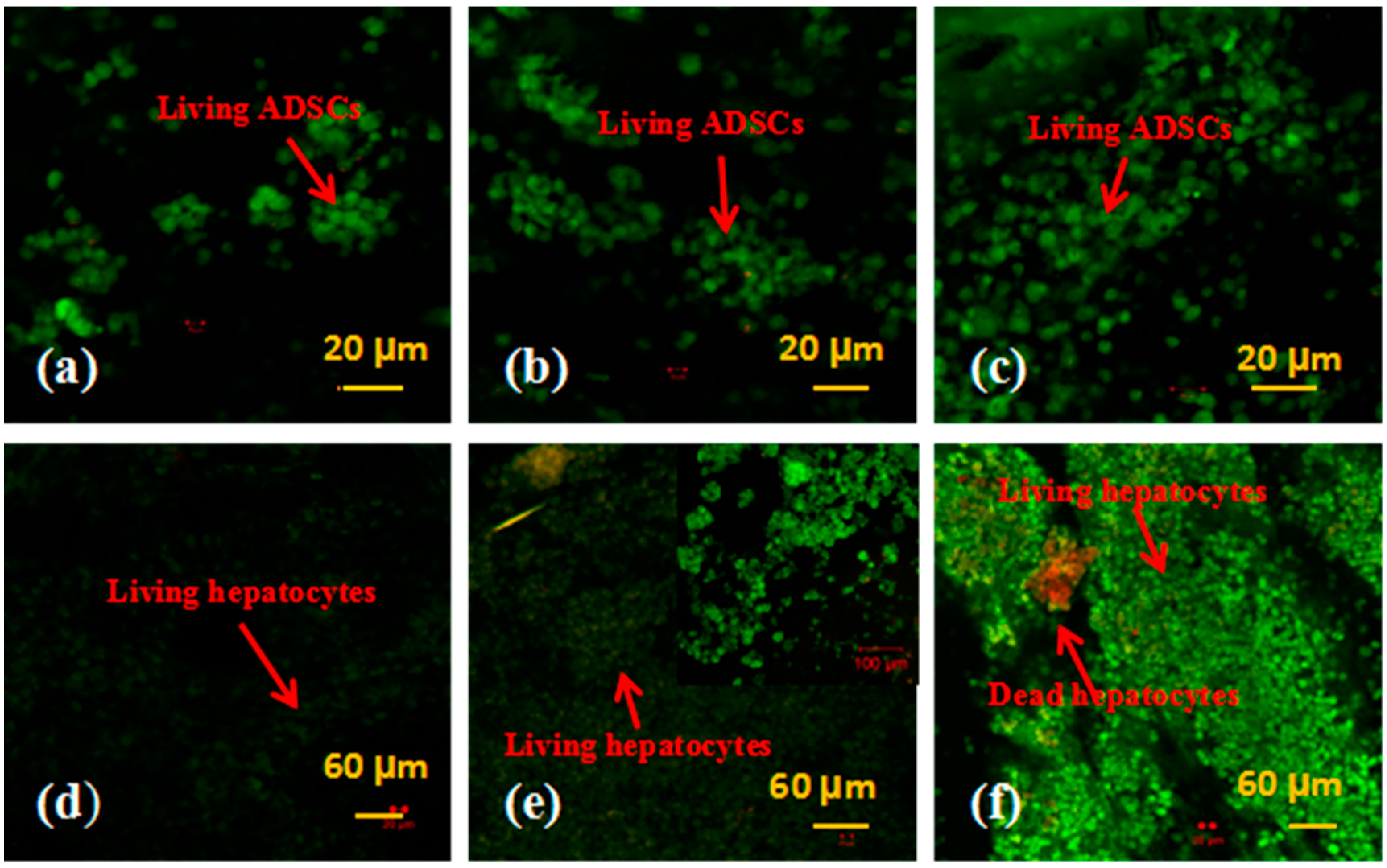 Polymers 10 01048 g003 Polymers 10 01048 g003