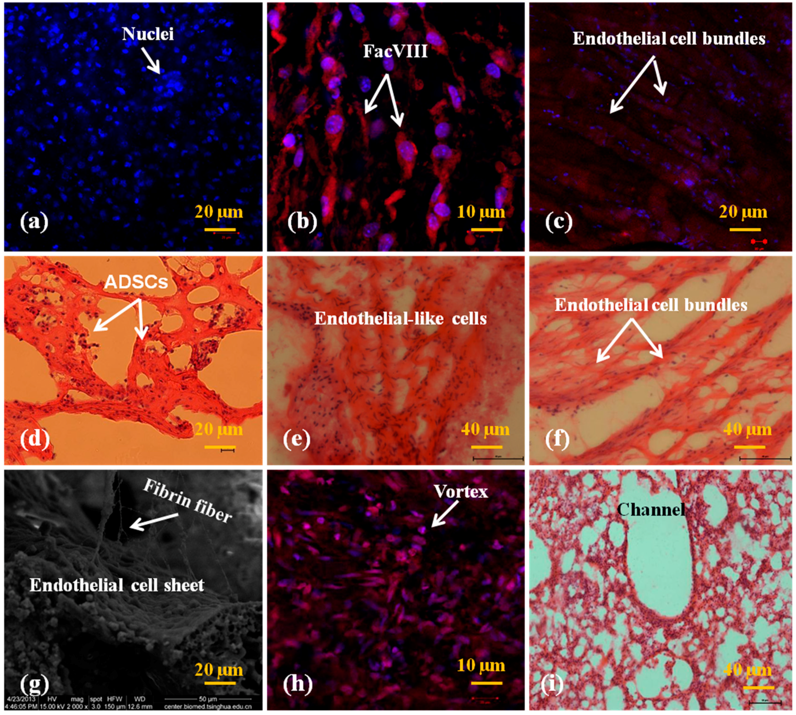 Polymers 10 01048 g006 Polymers 10 01048 g006