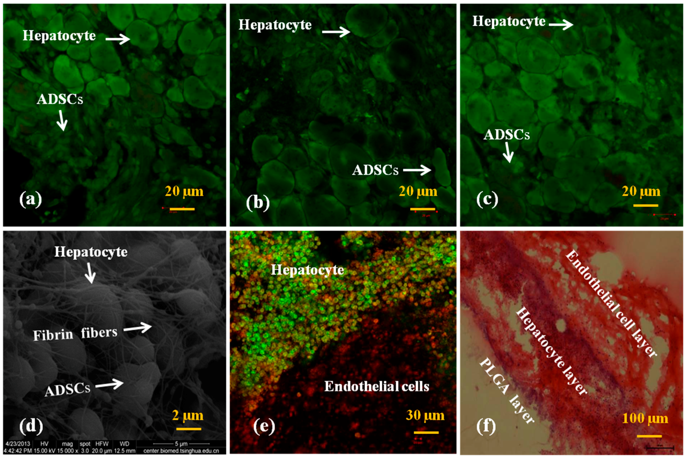 Polymers 10 01048 g007 Polymers 10 01048 g007