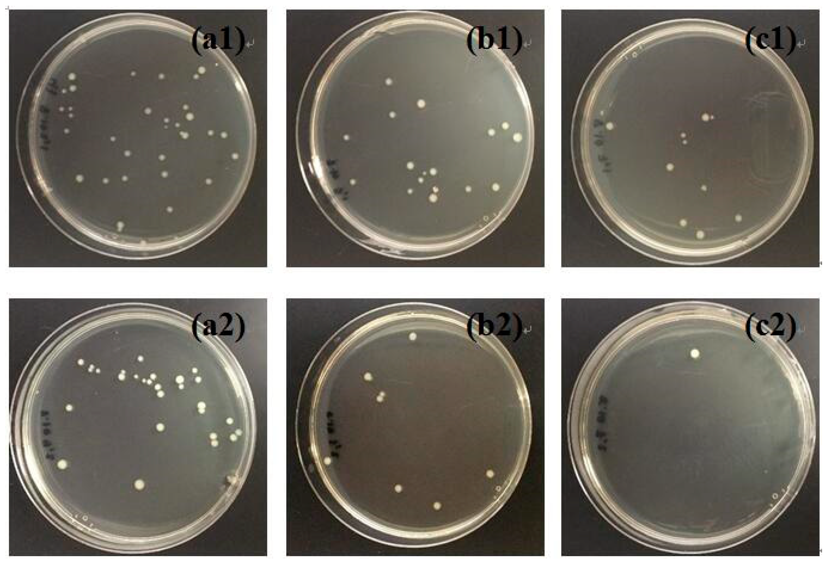 Polymers 10 01052 g009
