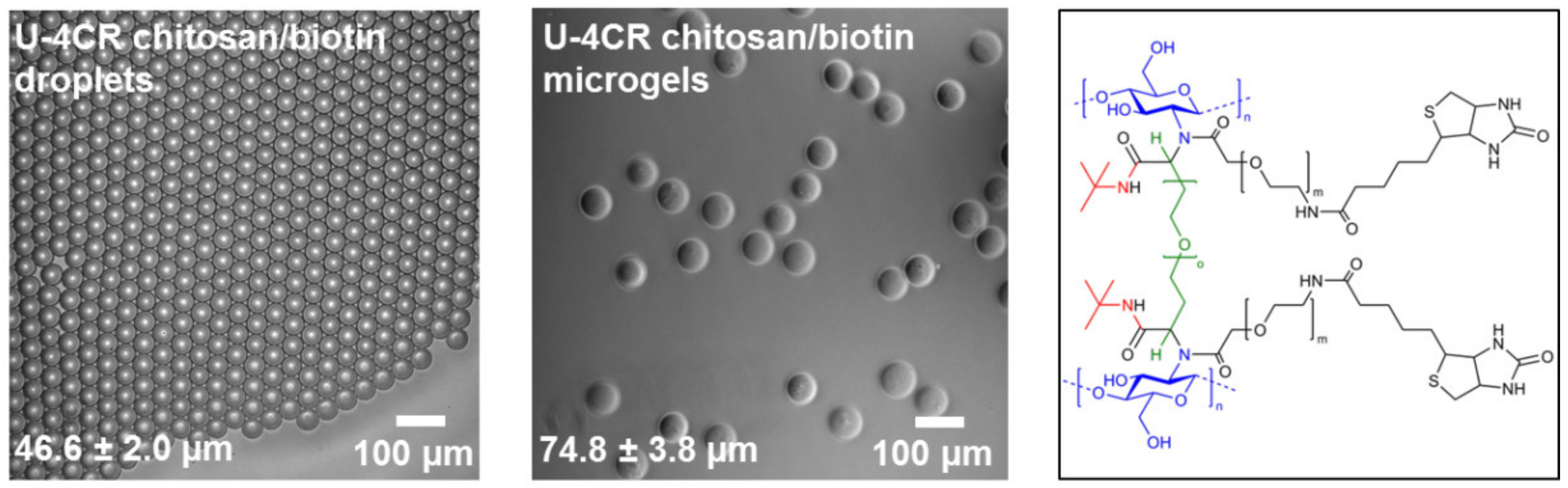 Polymers 10 01055 g008 Polymers 10 01055 g008