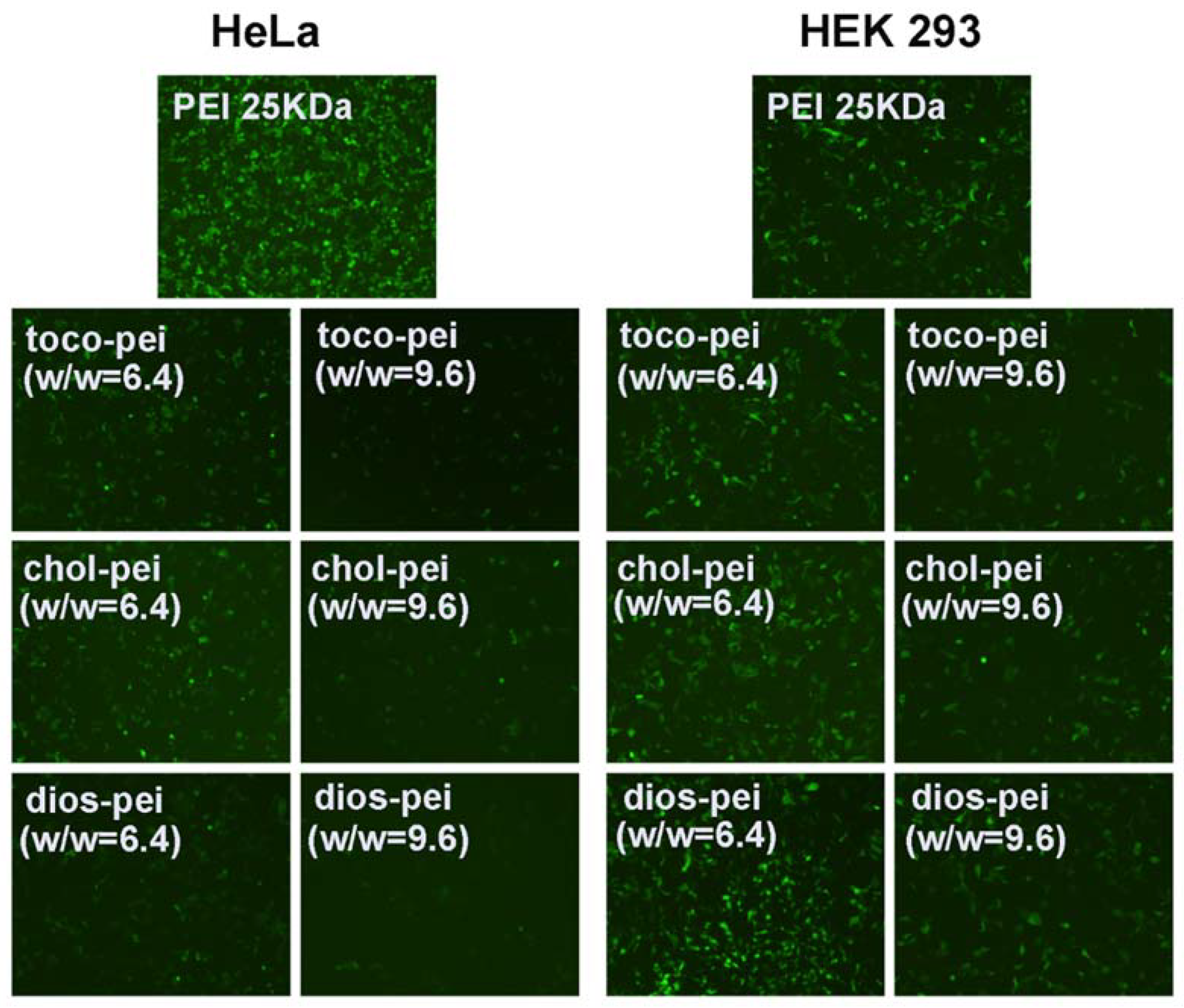Polymers 10 01060 g008