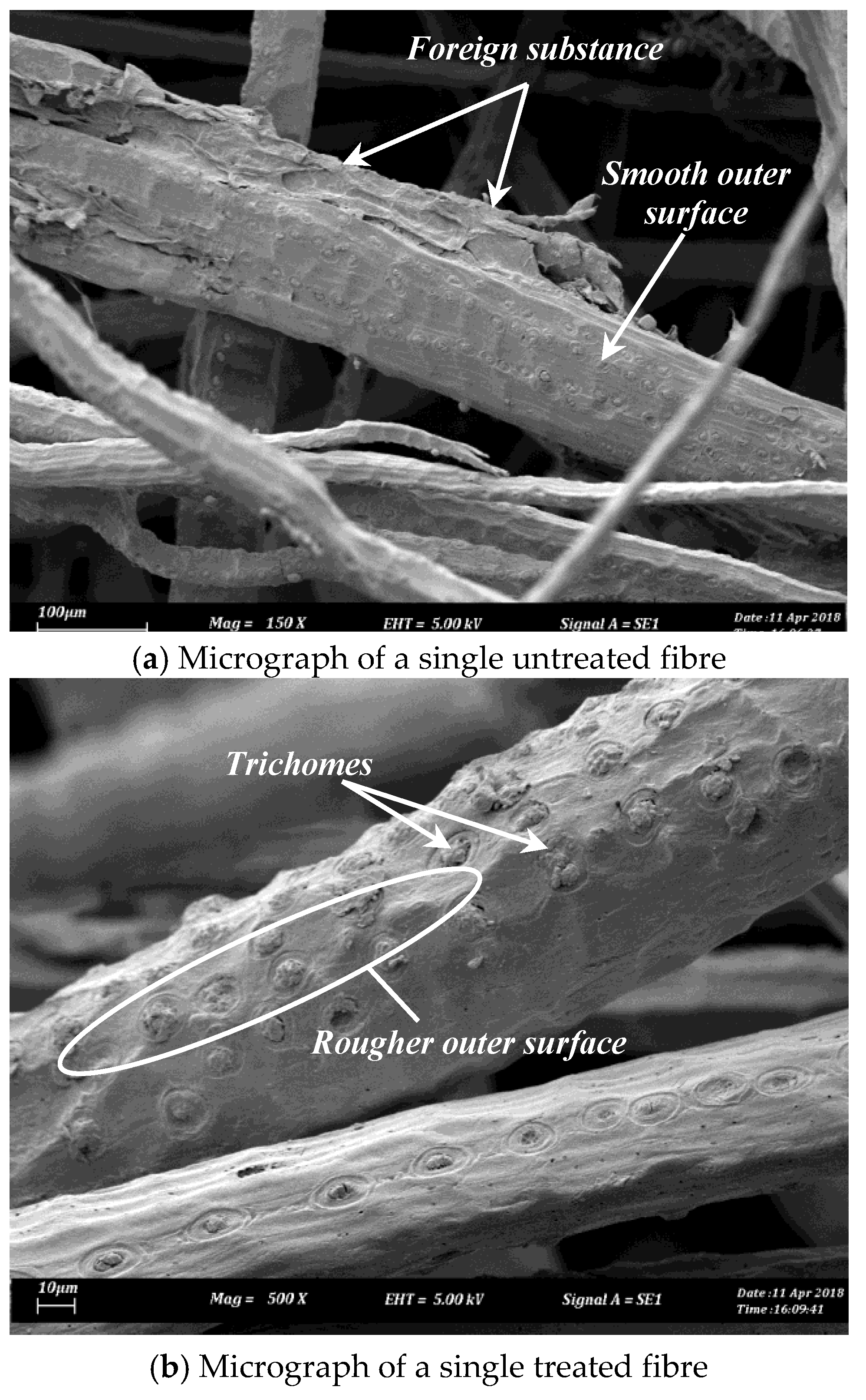 Polymers 10 01066 g001 Polymers 10 01066 g001