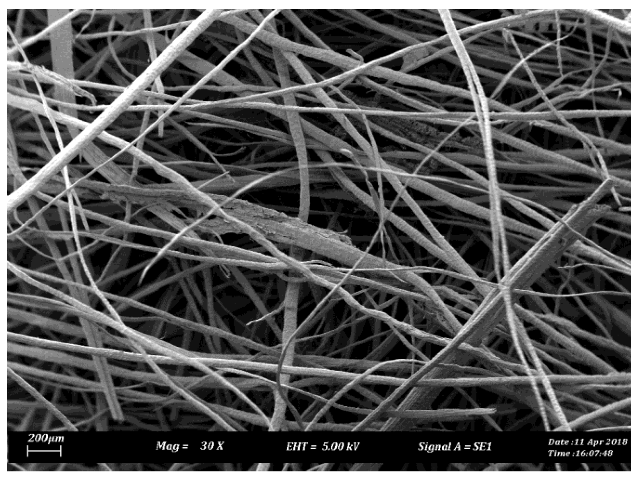 Polymers 10 01066 g002 Polymers 10 01066 g002