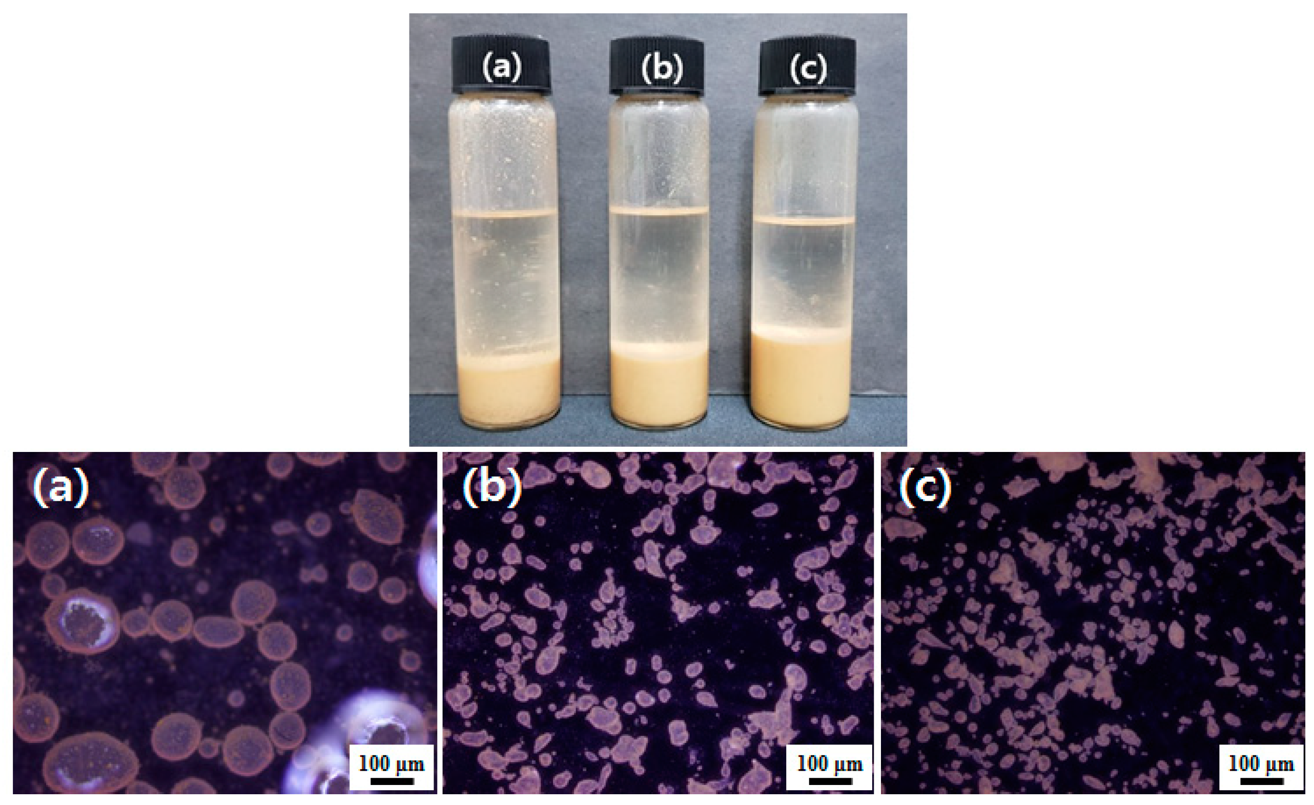 Polymers 10 01071 g008