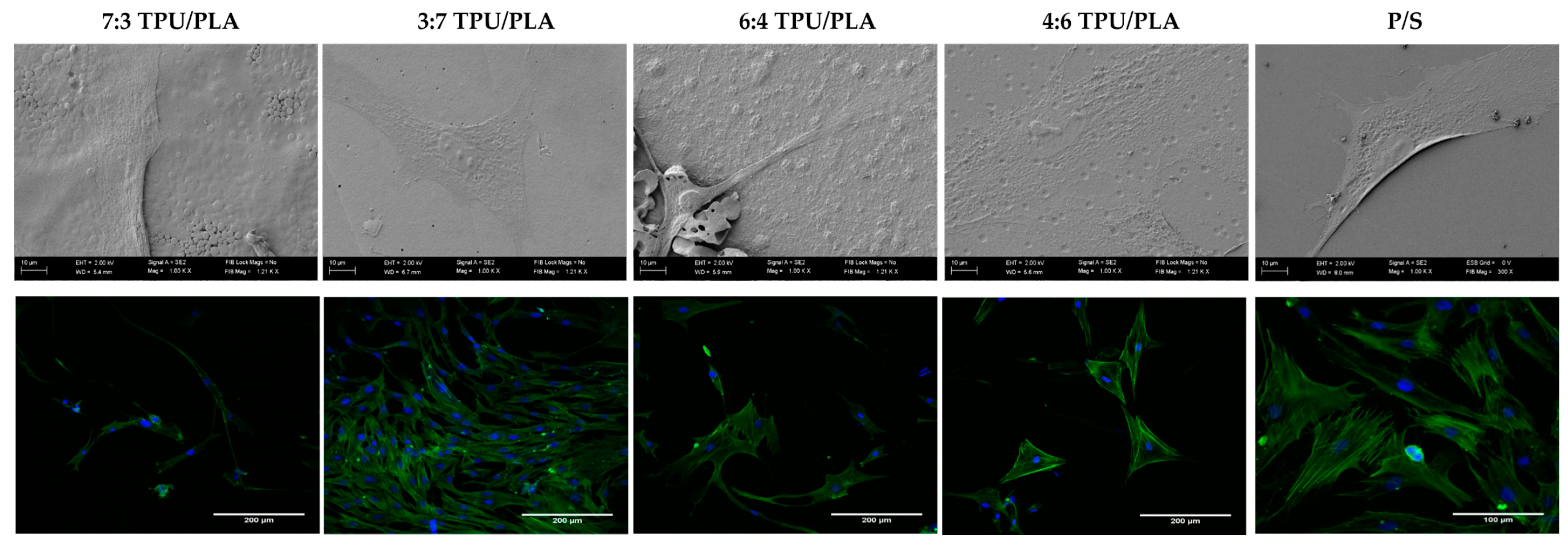 Polymers 10 01073 g002