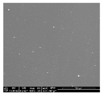 Polymers 10 01073 i002