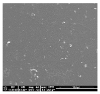 Polymers 10 01073 i003