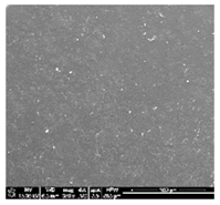 Polymers 10 01073 i004