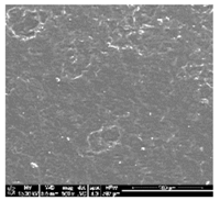 Polymers 10 01073 i005