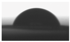 Polymers 10 01073 i012