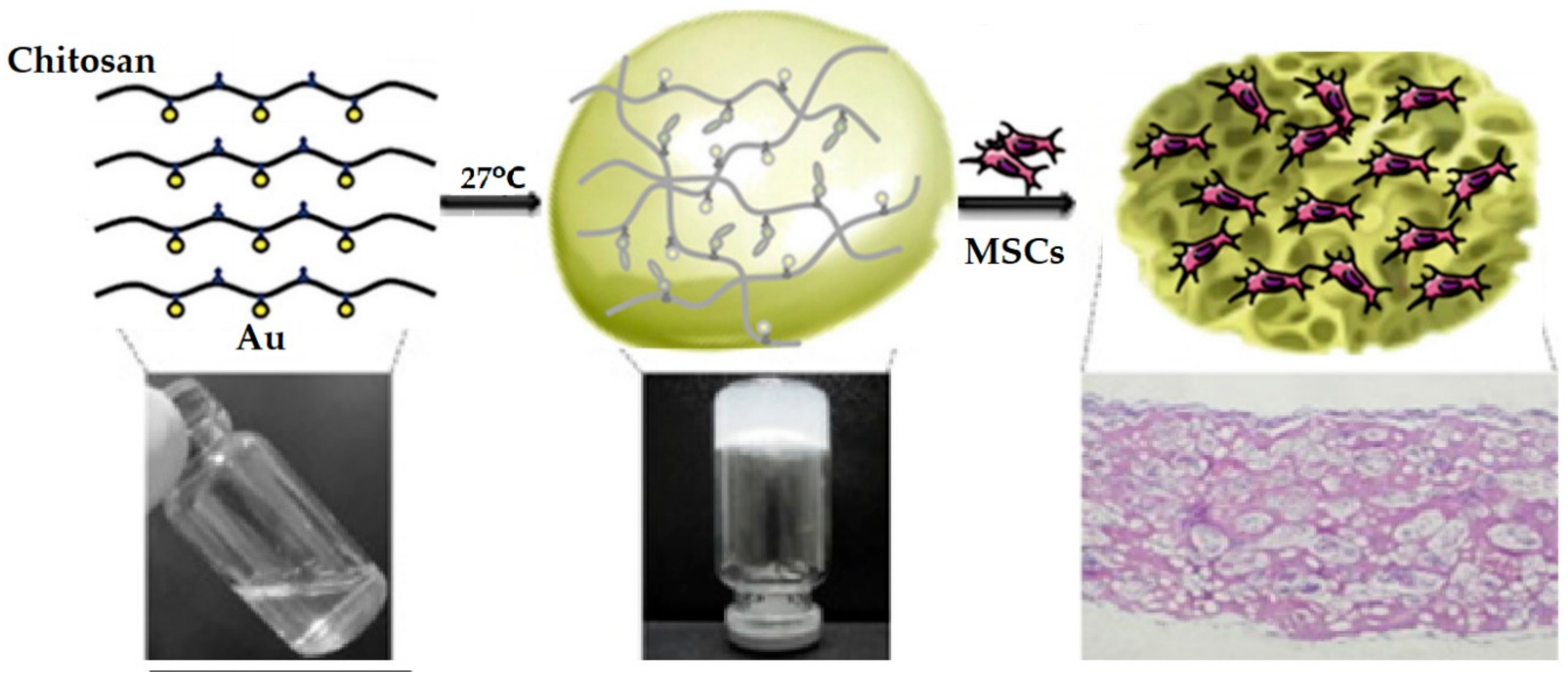 Polymers 10 01078 g002 Polymers 10 01078 g002