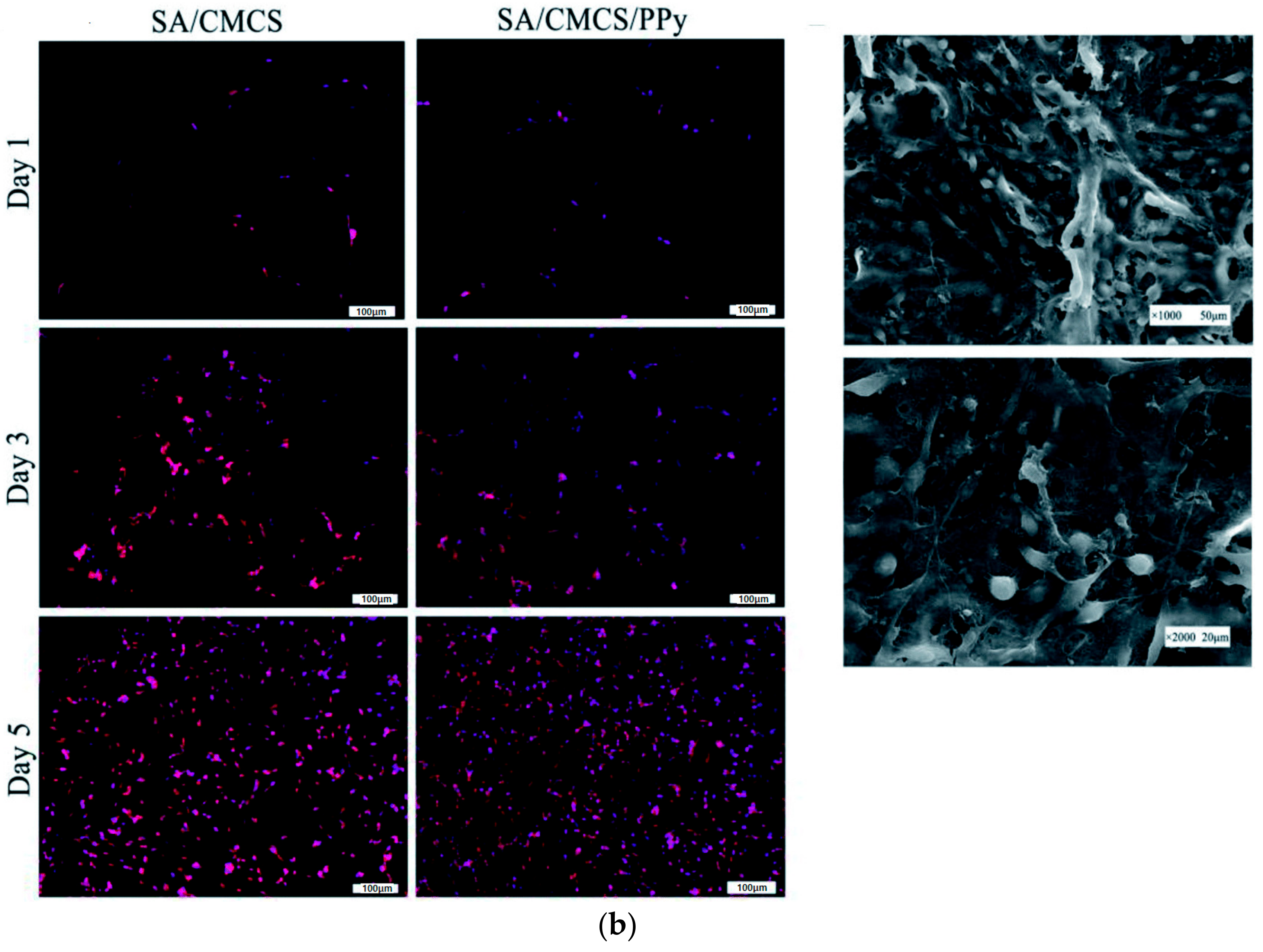 Polymers 10 01078 g015b Polymers 10 01078 g015b
