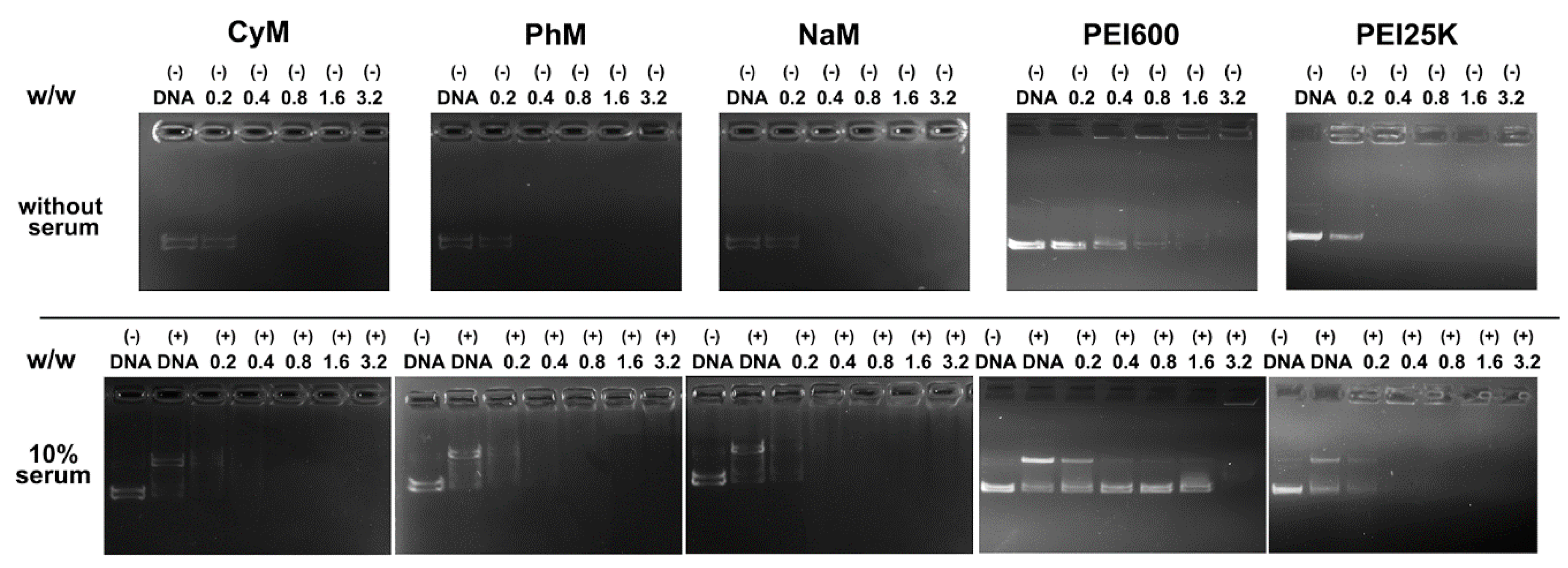 Polymers 10 01080 g001