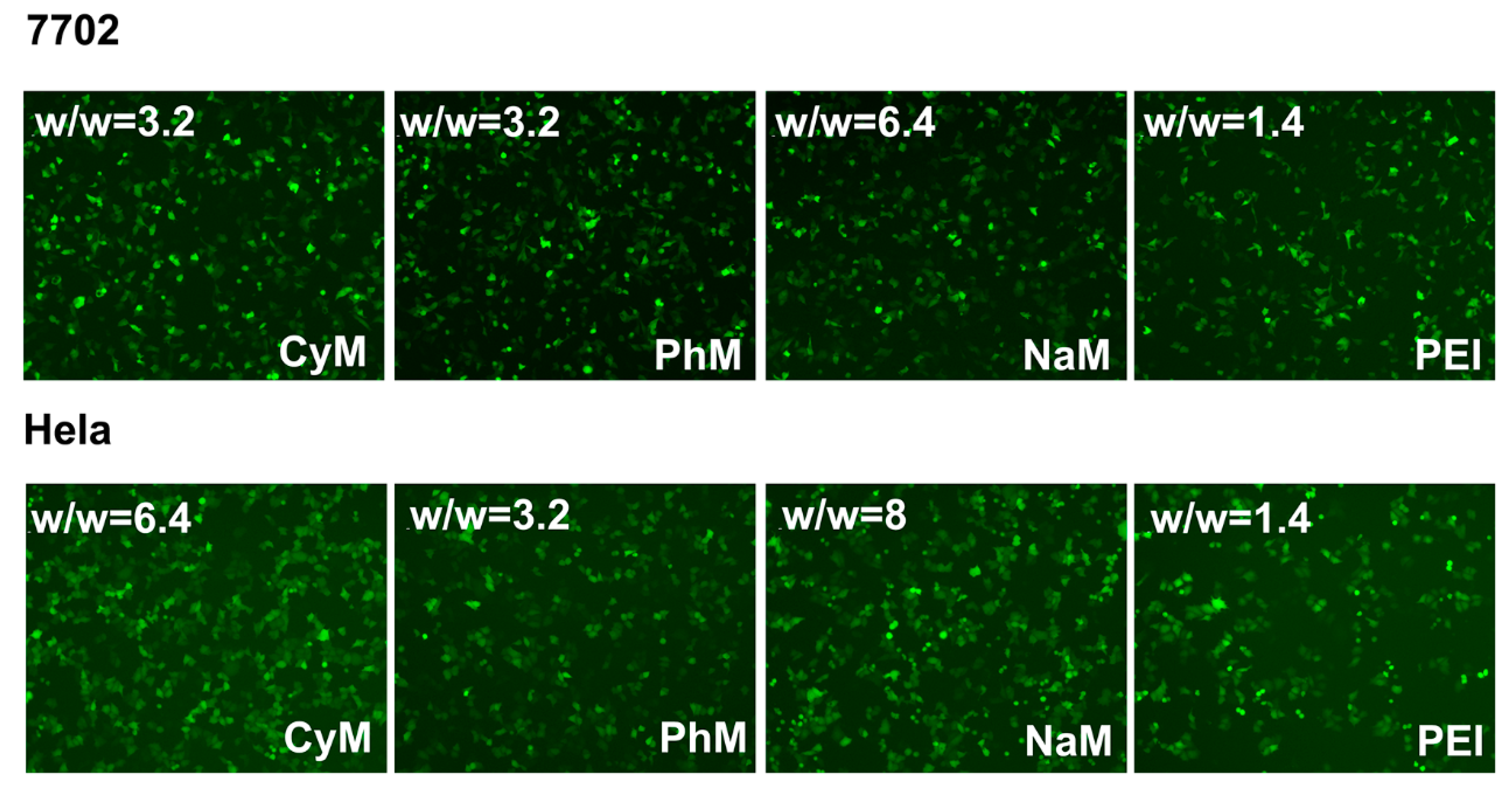 Polymers 10 01080 g006