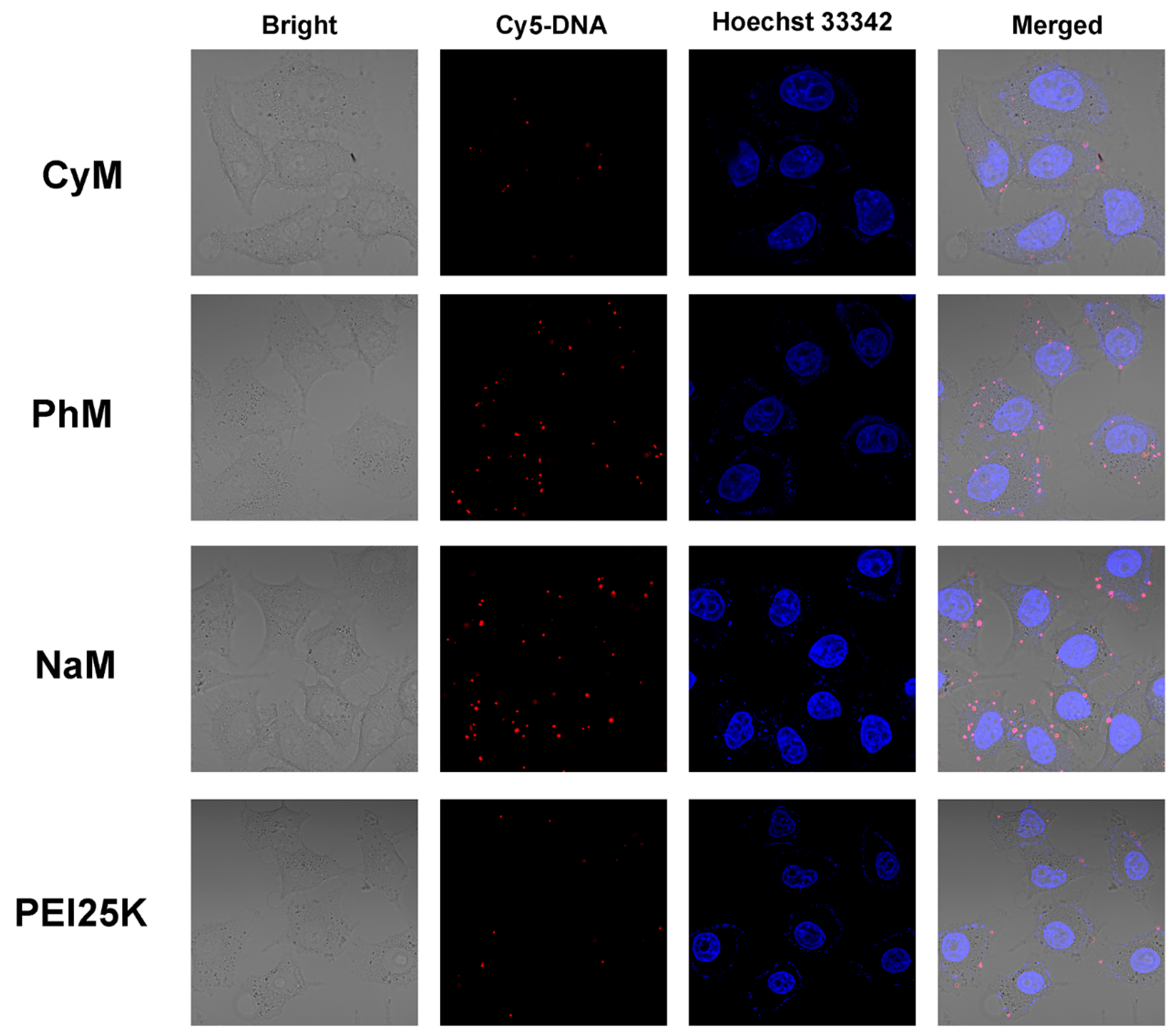 Polymers 10 01080 g009