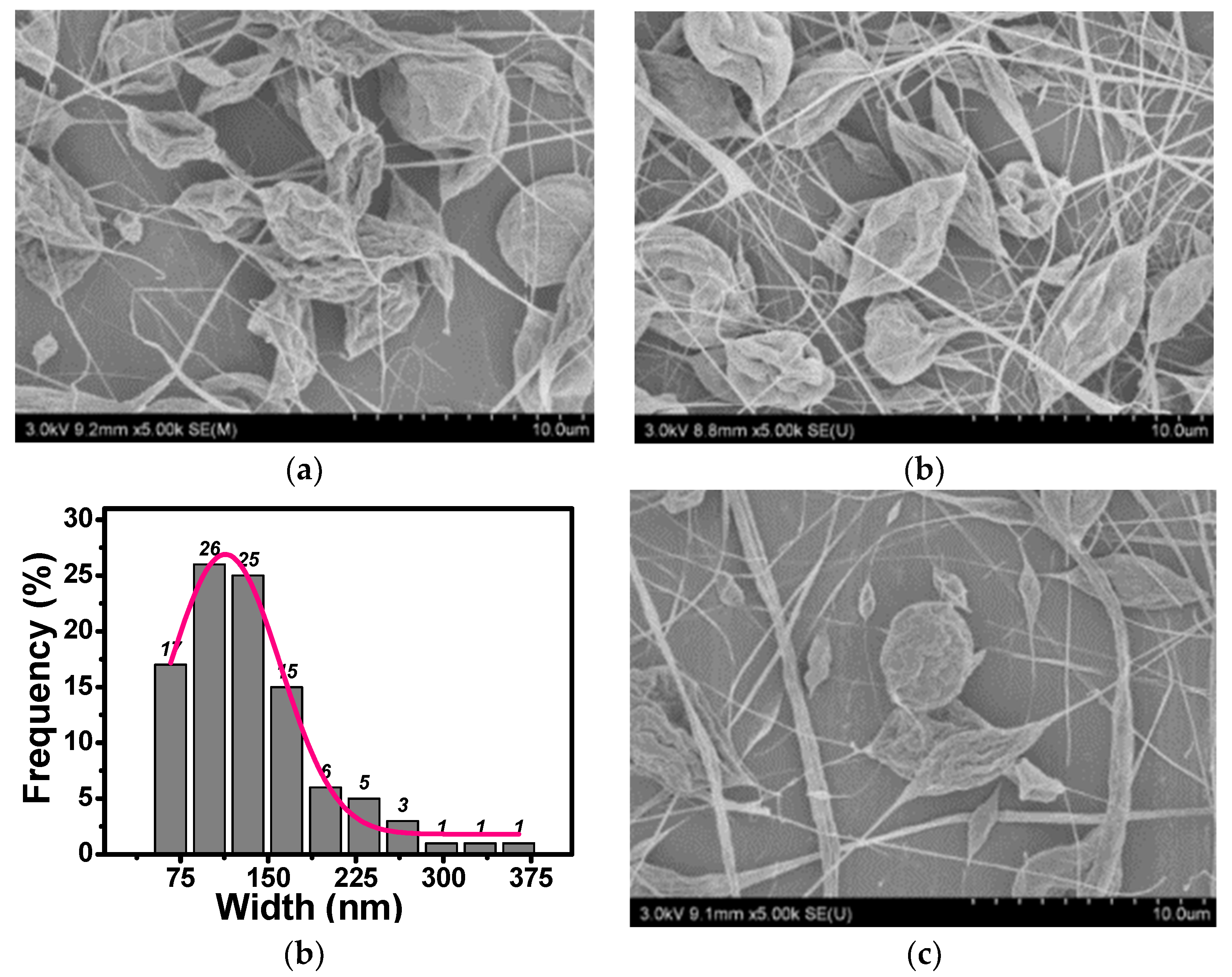 Polymers 10 01087 g002