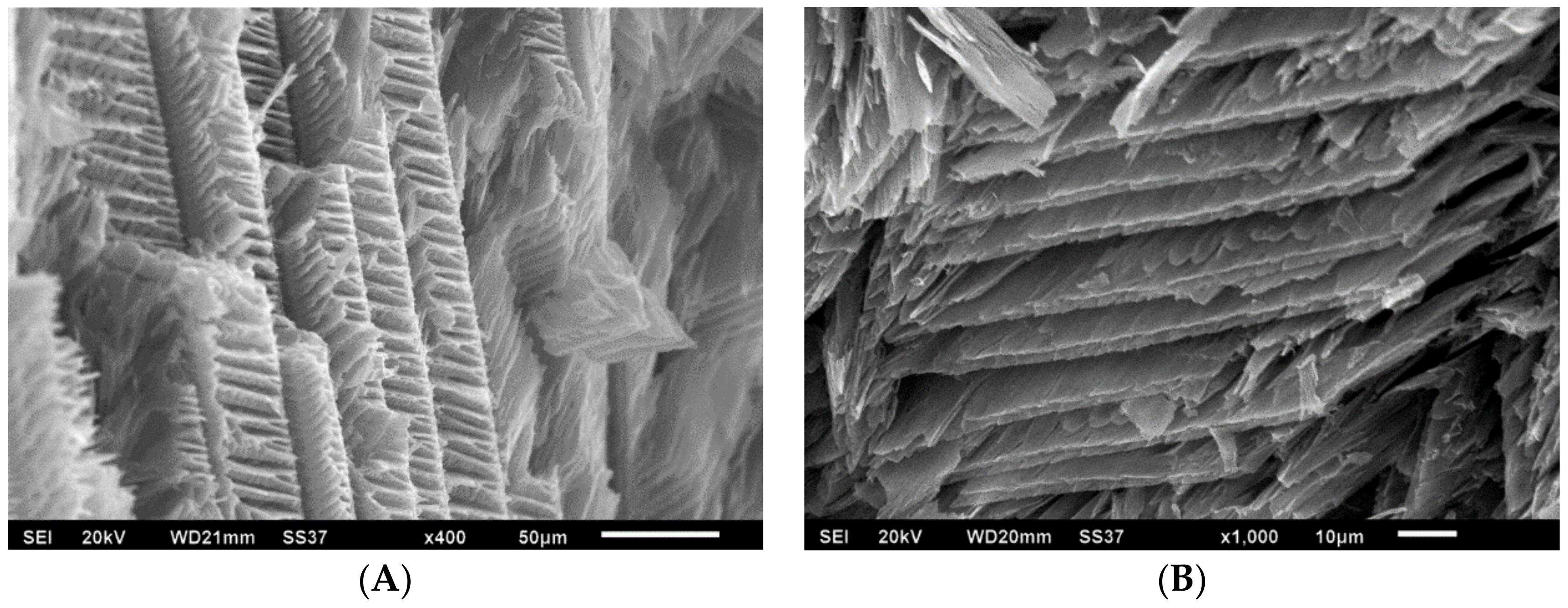 Polymers 10 01102 g003a 550